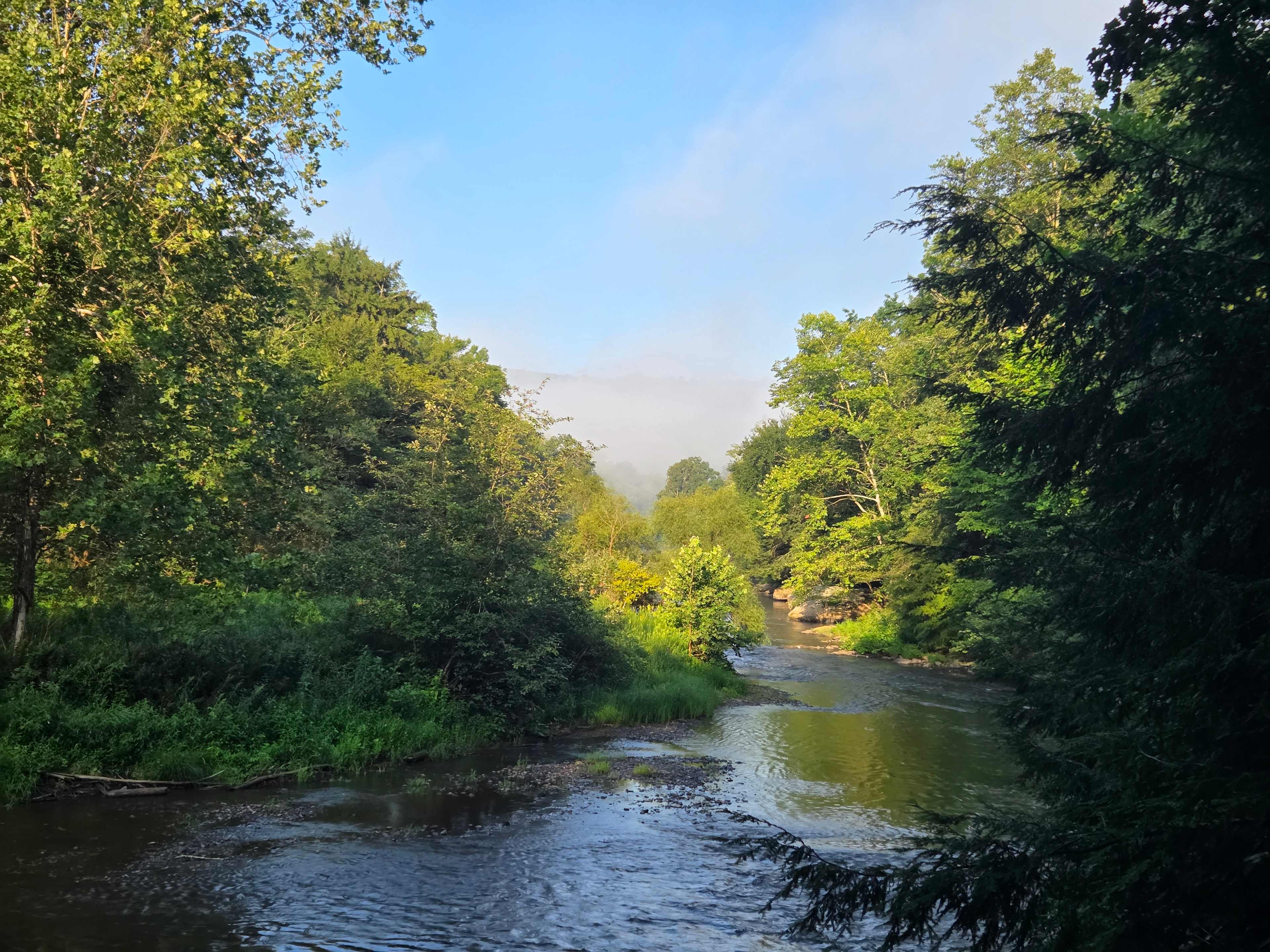 View from the river in front of cabin. 