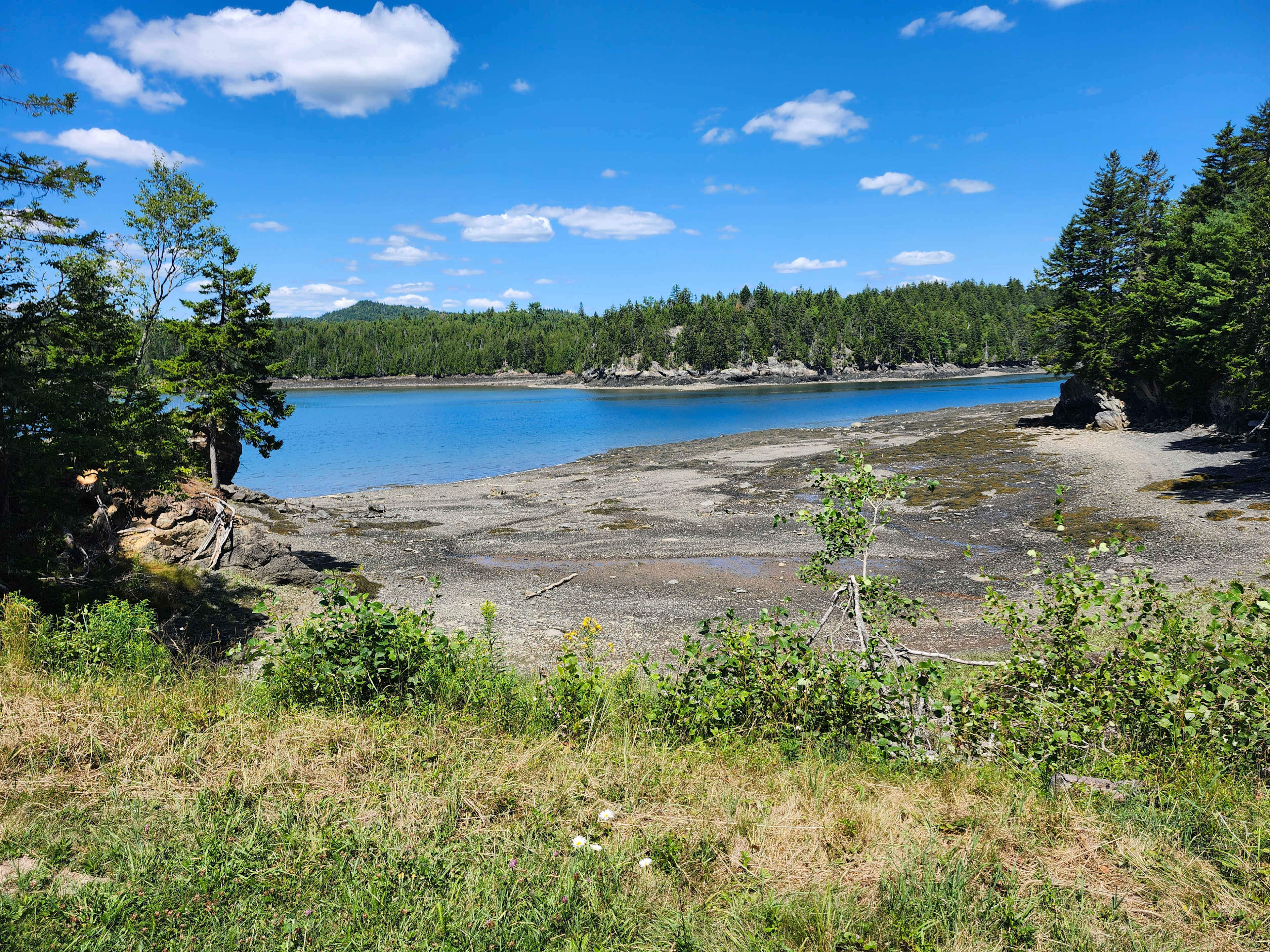 Mouth of the Magaguadavic Camping
