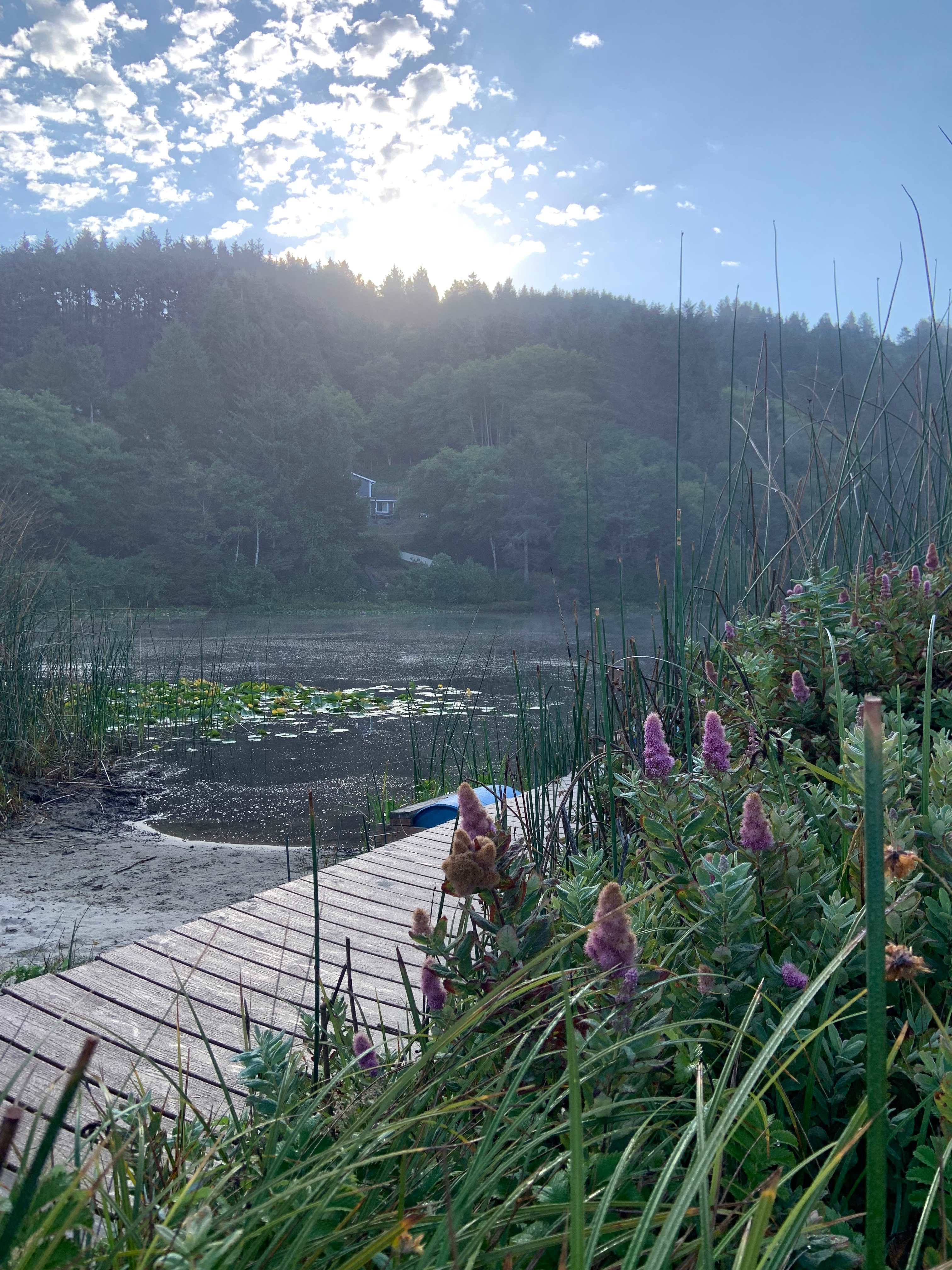 The Lake Pasture