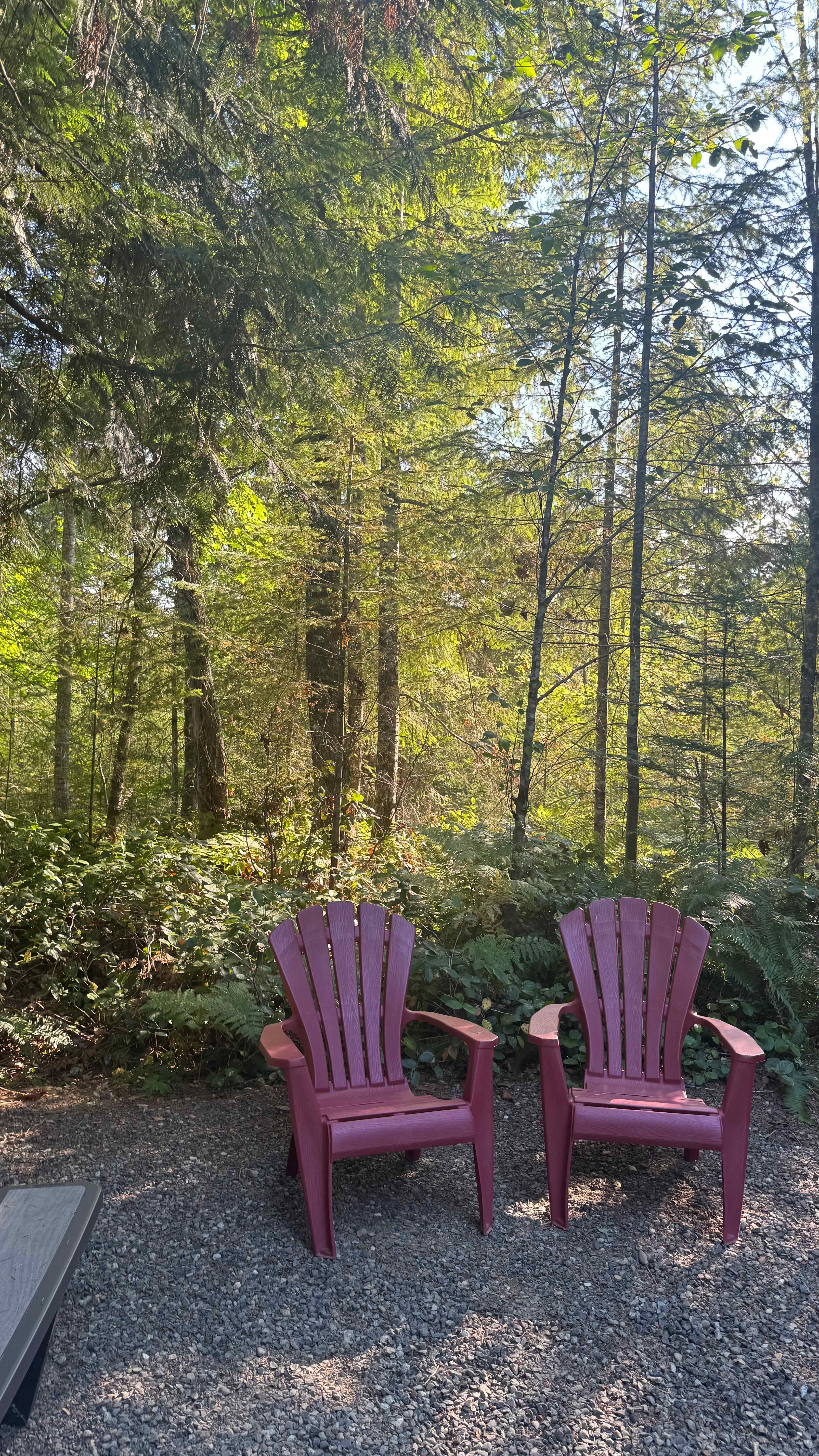 Tyee Valley Farm