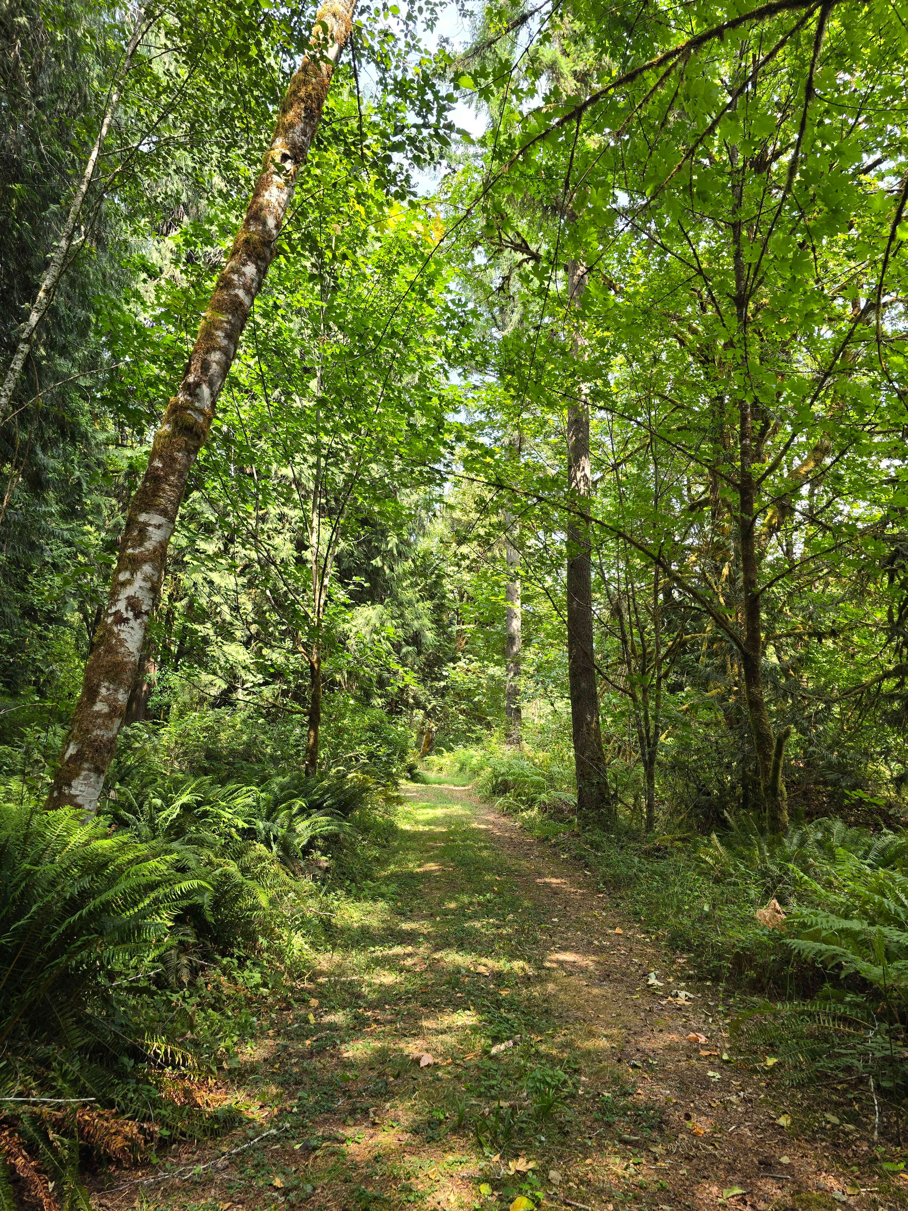 Hillside Vista RV / Creekside Camp