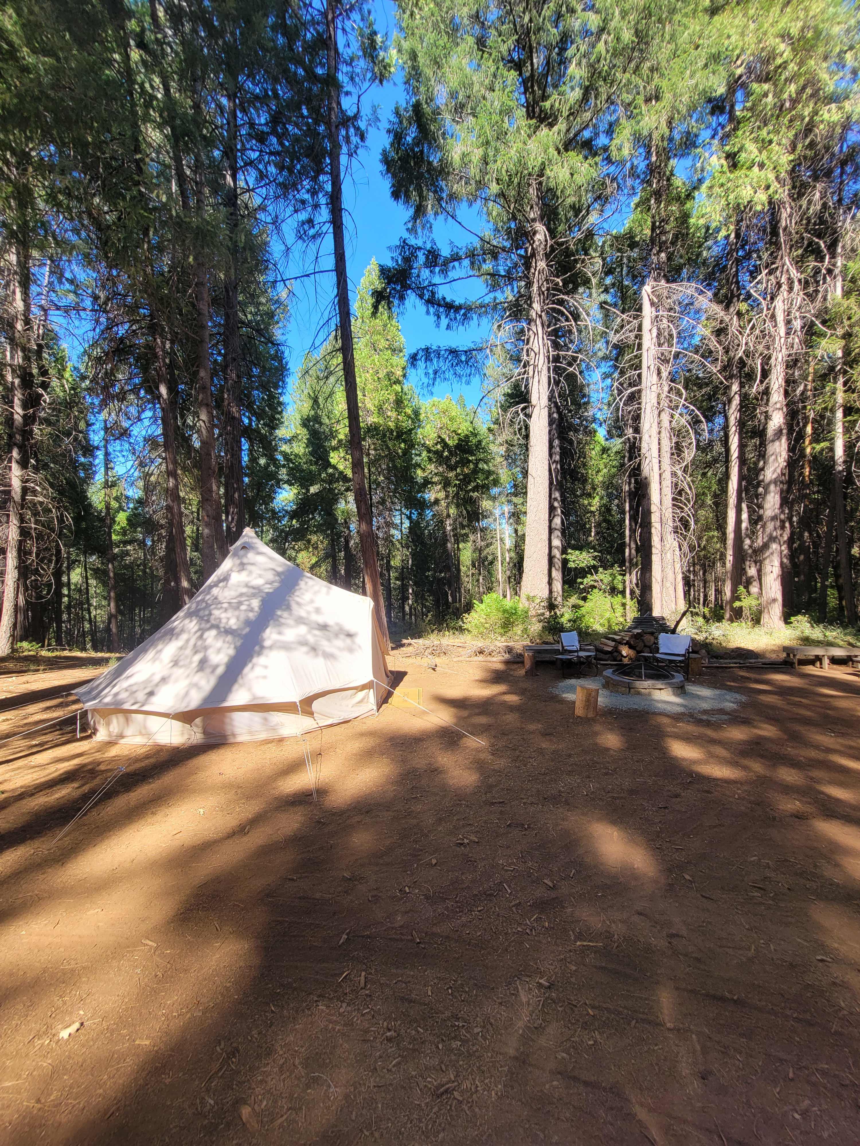 Blue Tent Grove