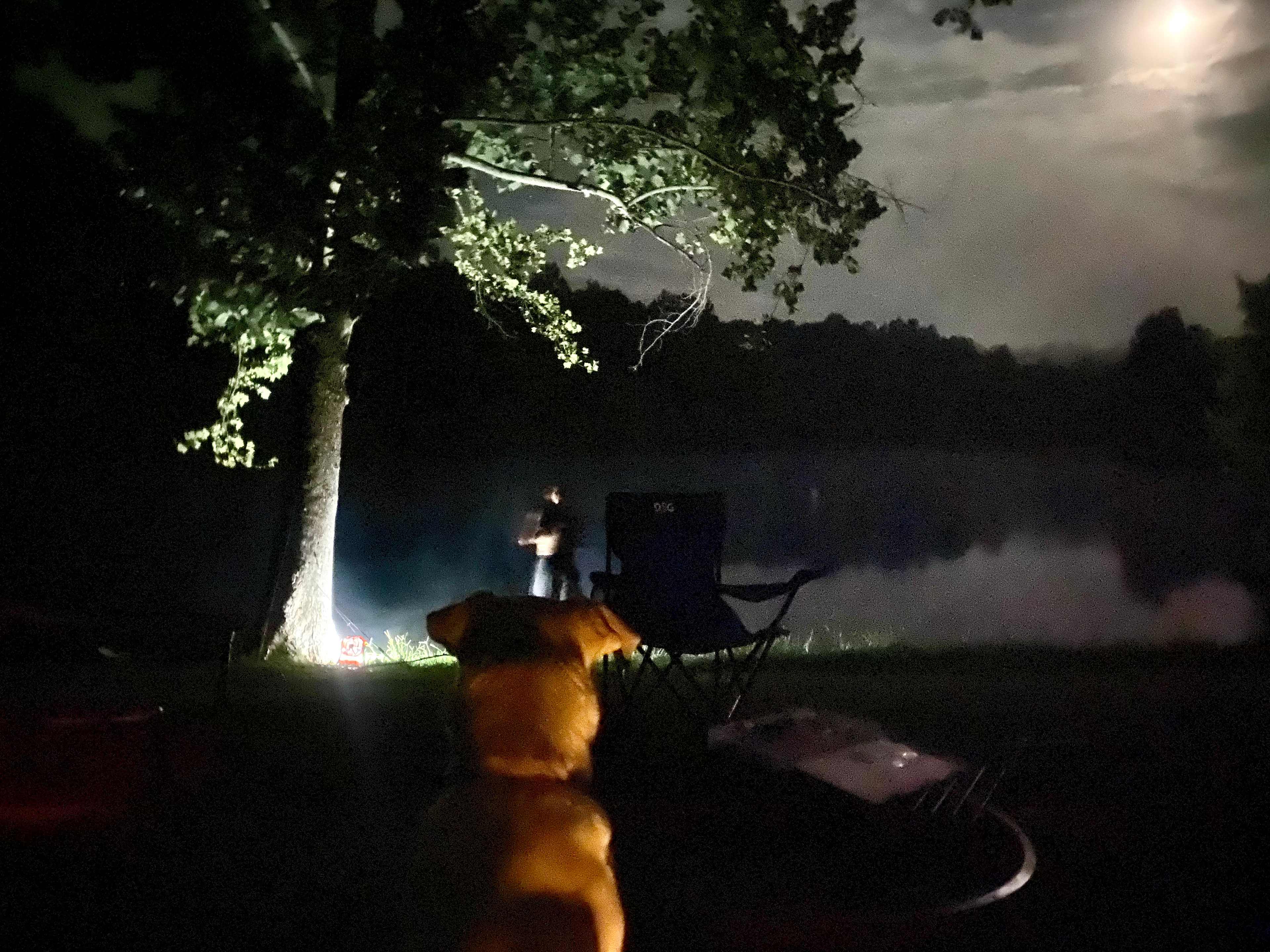 Bohamia - Glamp/RV/Camp