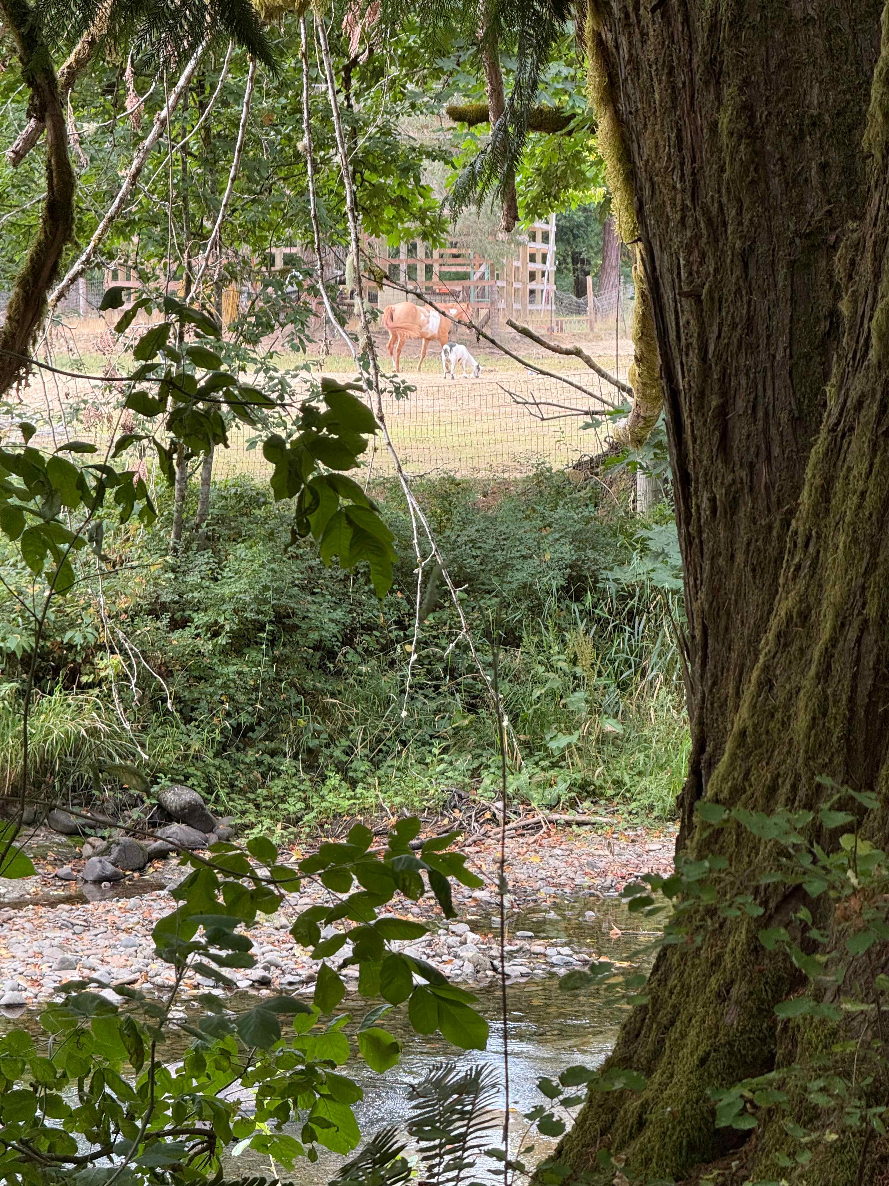 View from the secret garden 