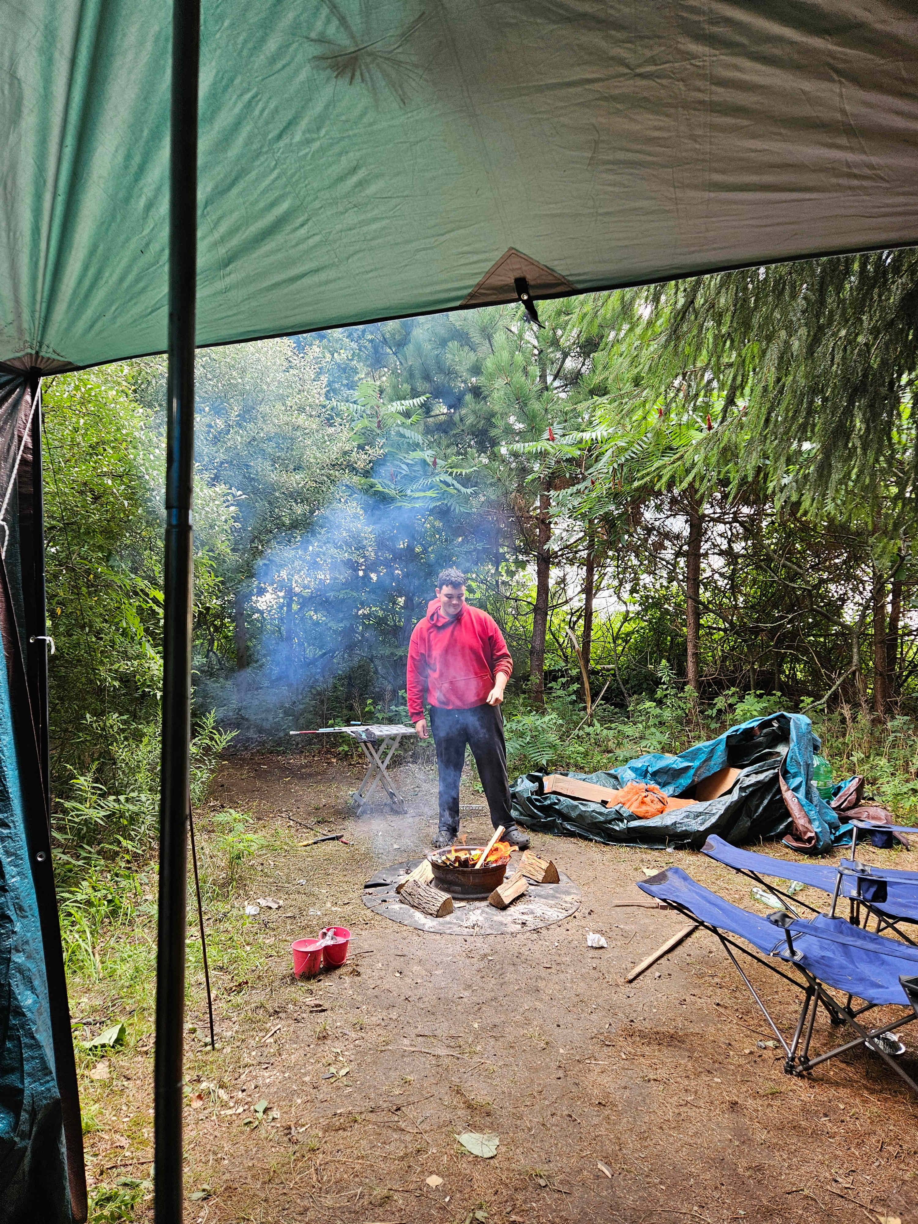 Pine Forest Camping