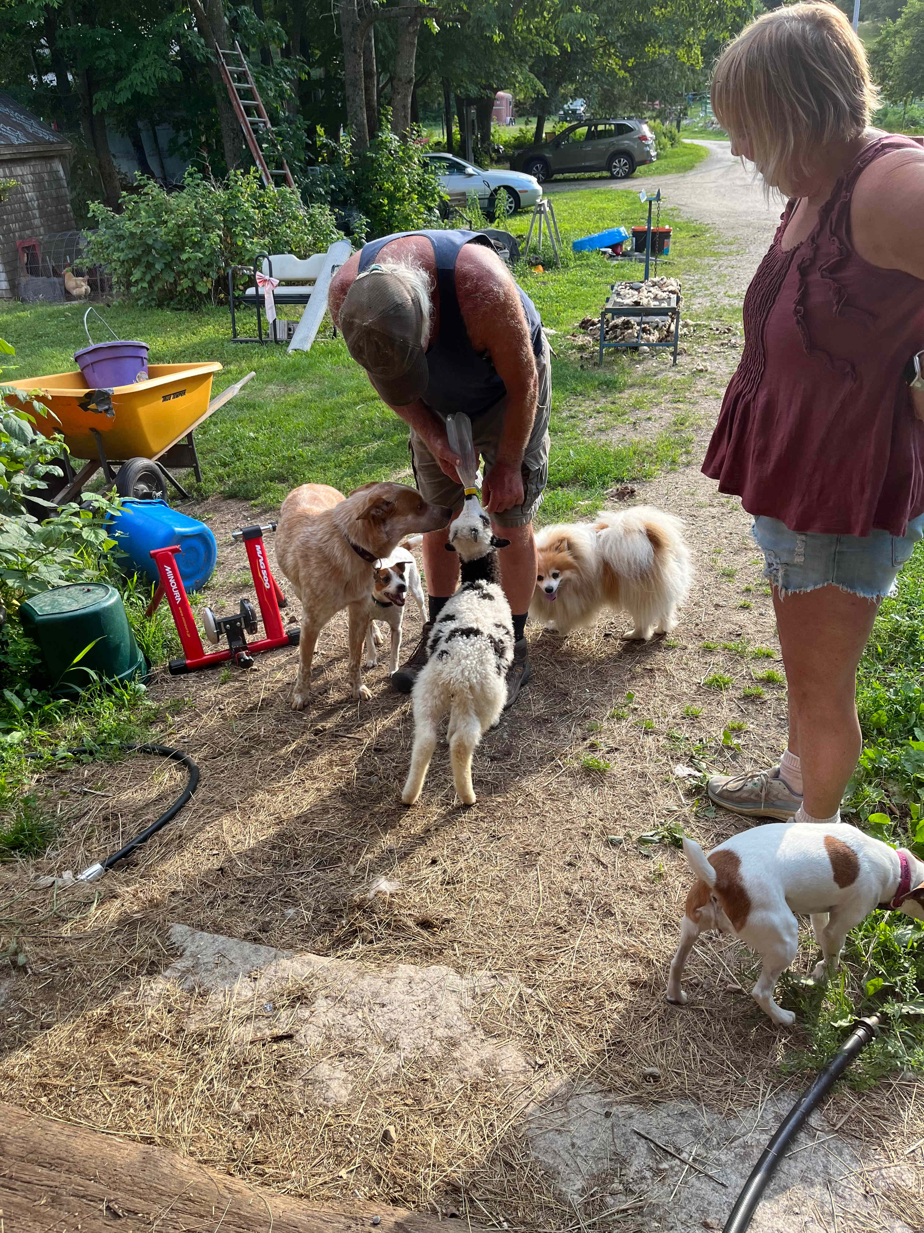 BrandiLee Woods at the Woolley farm