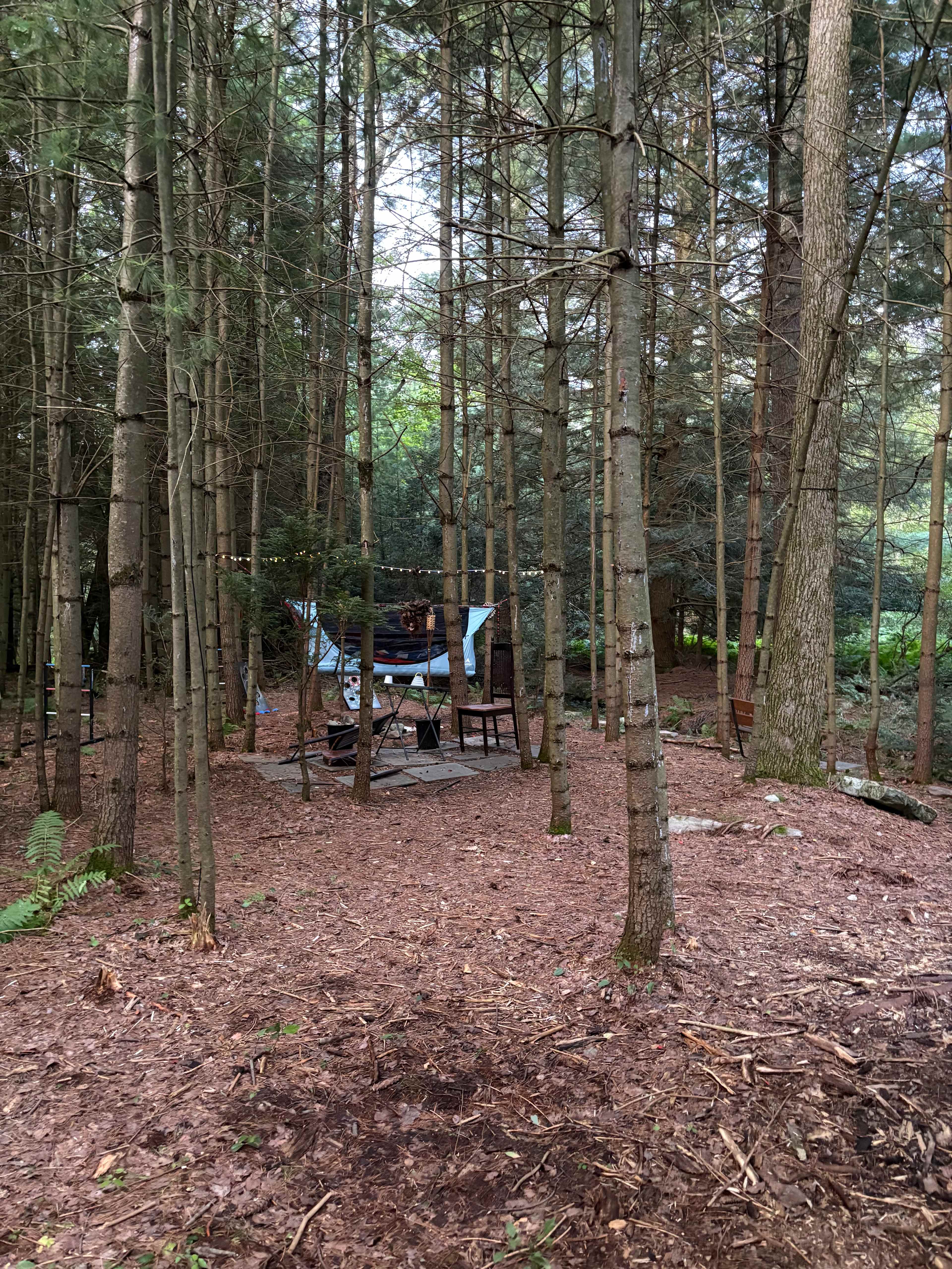 Crystal Spring Camp