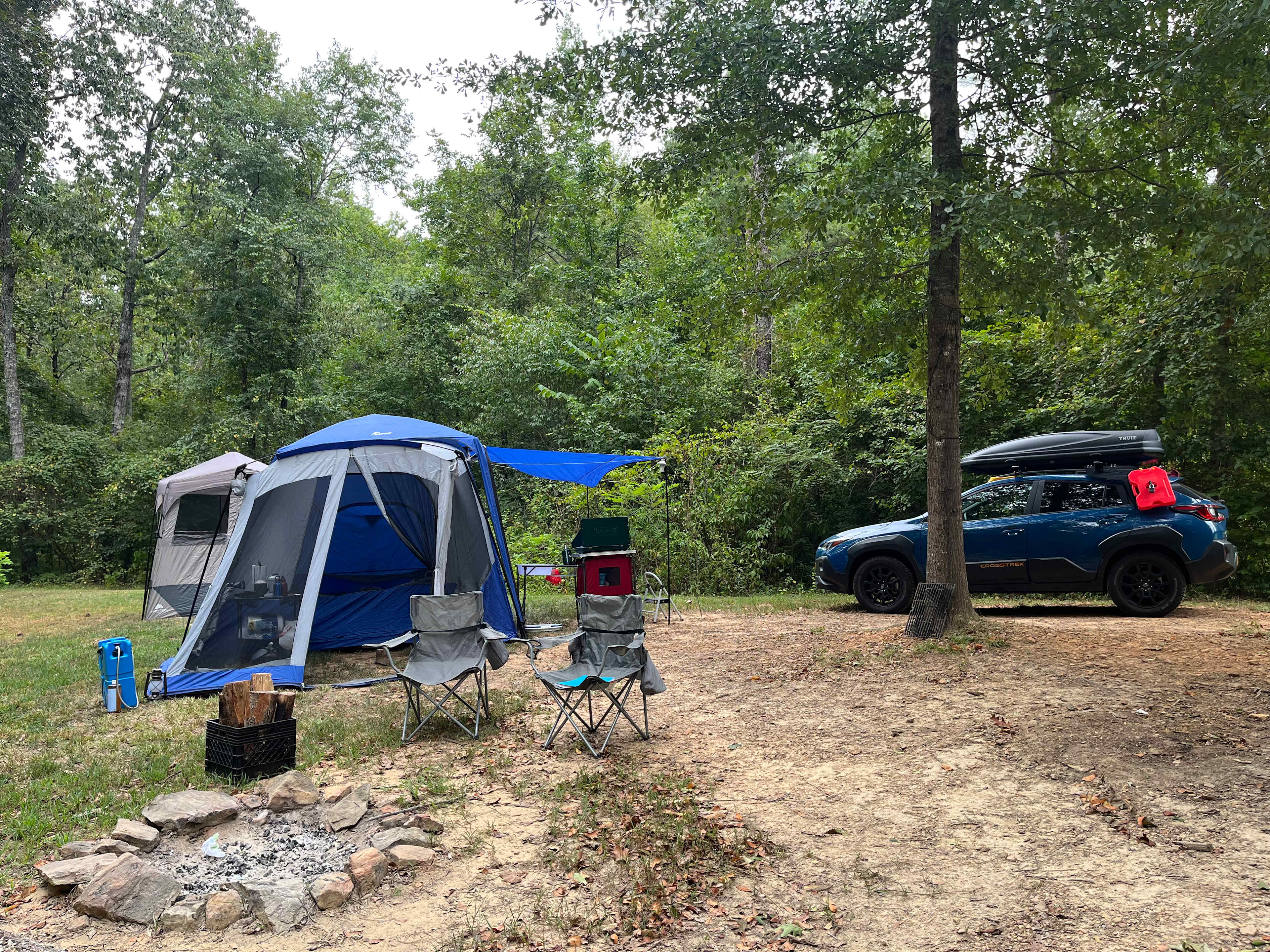 Our setup 