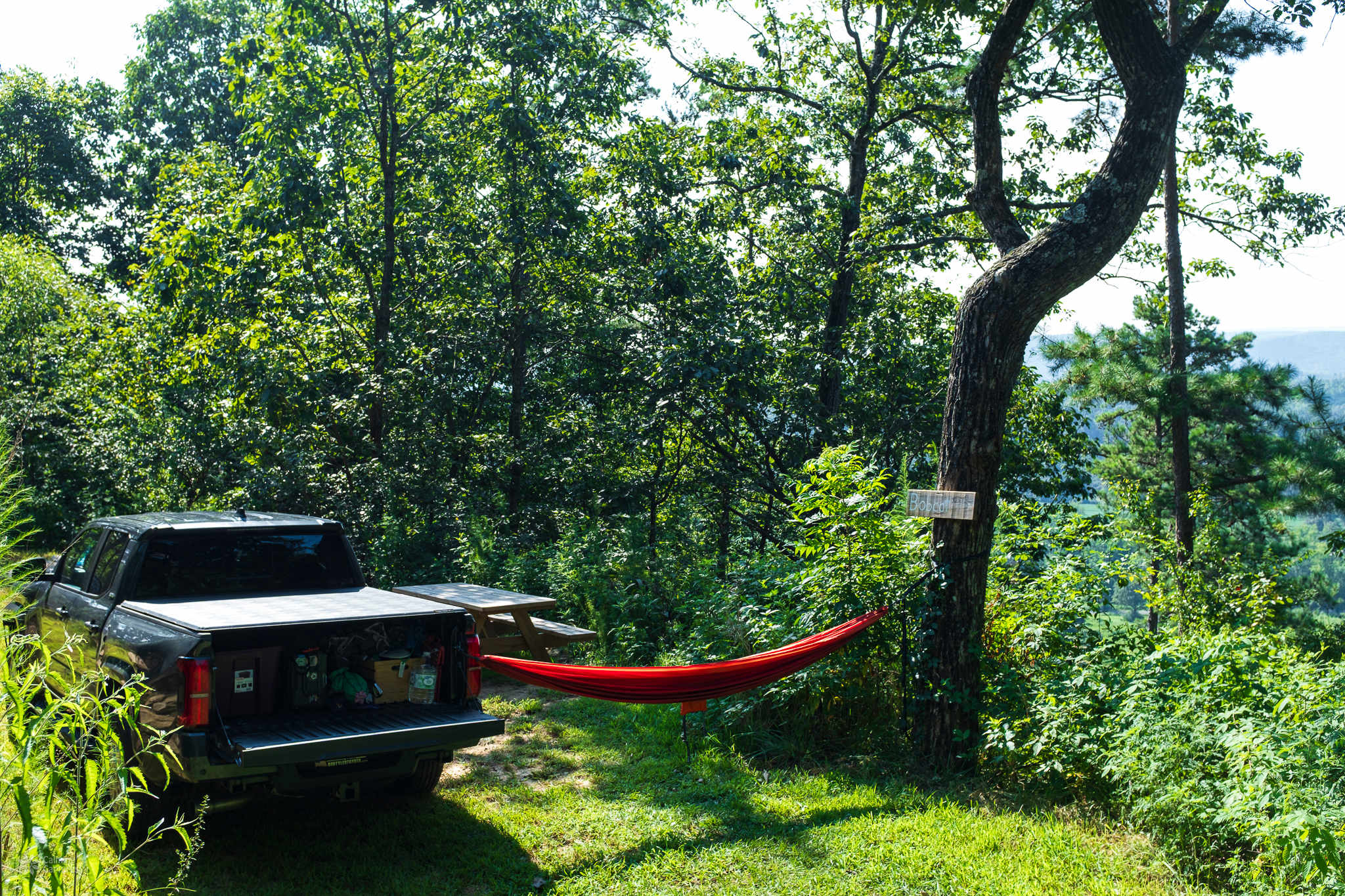 Back of campsite