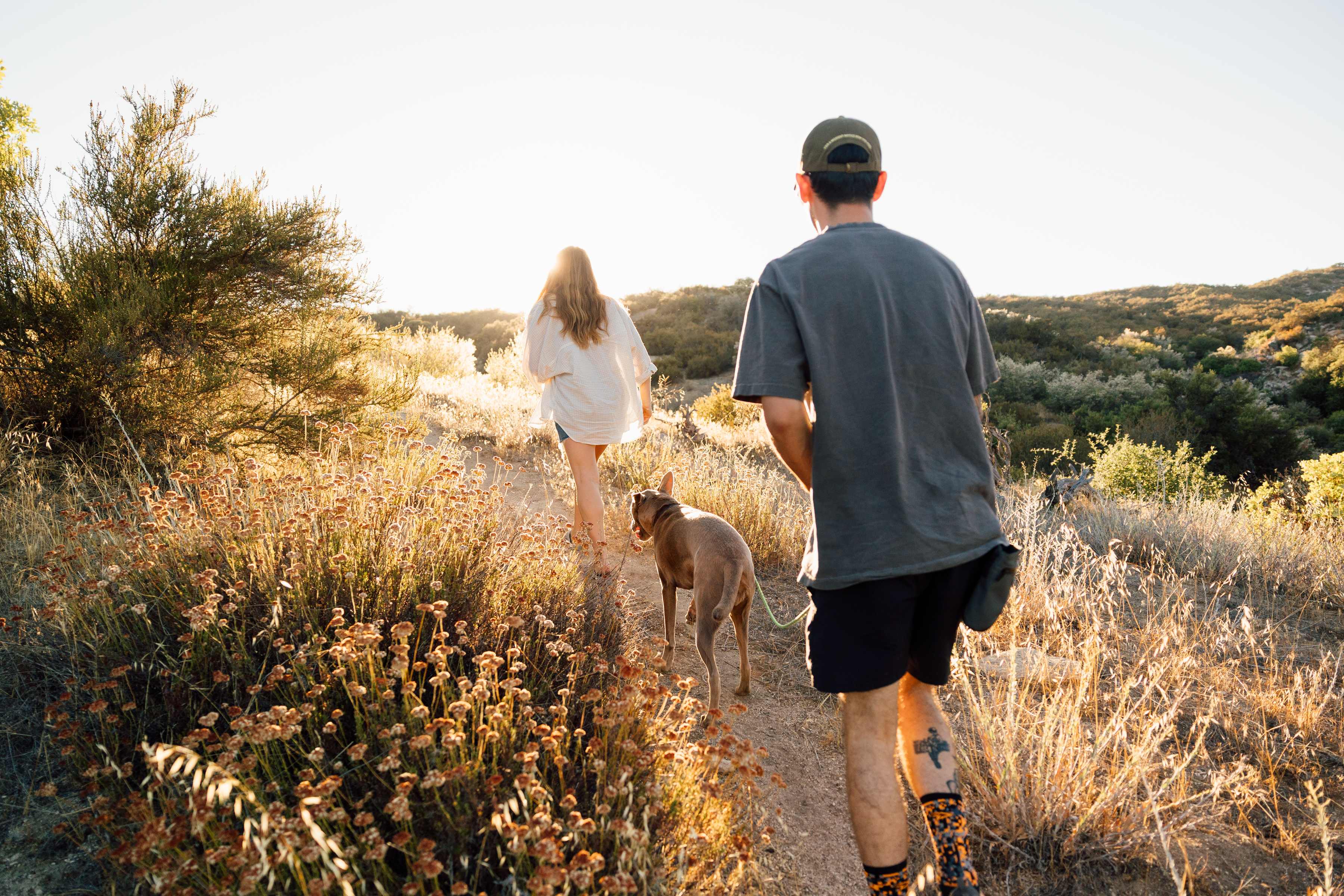 The beautiful hike on the property