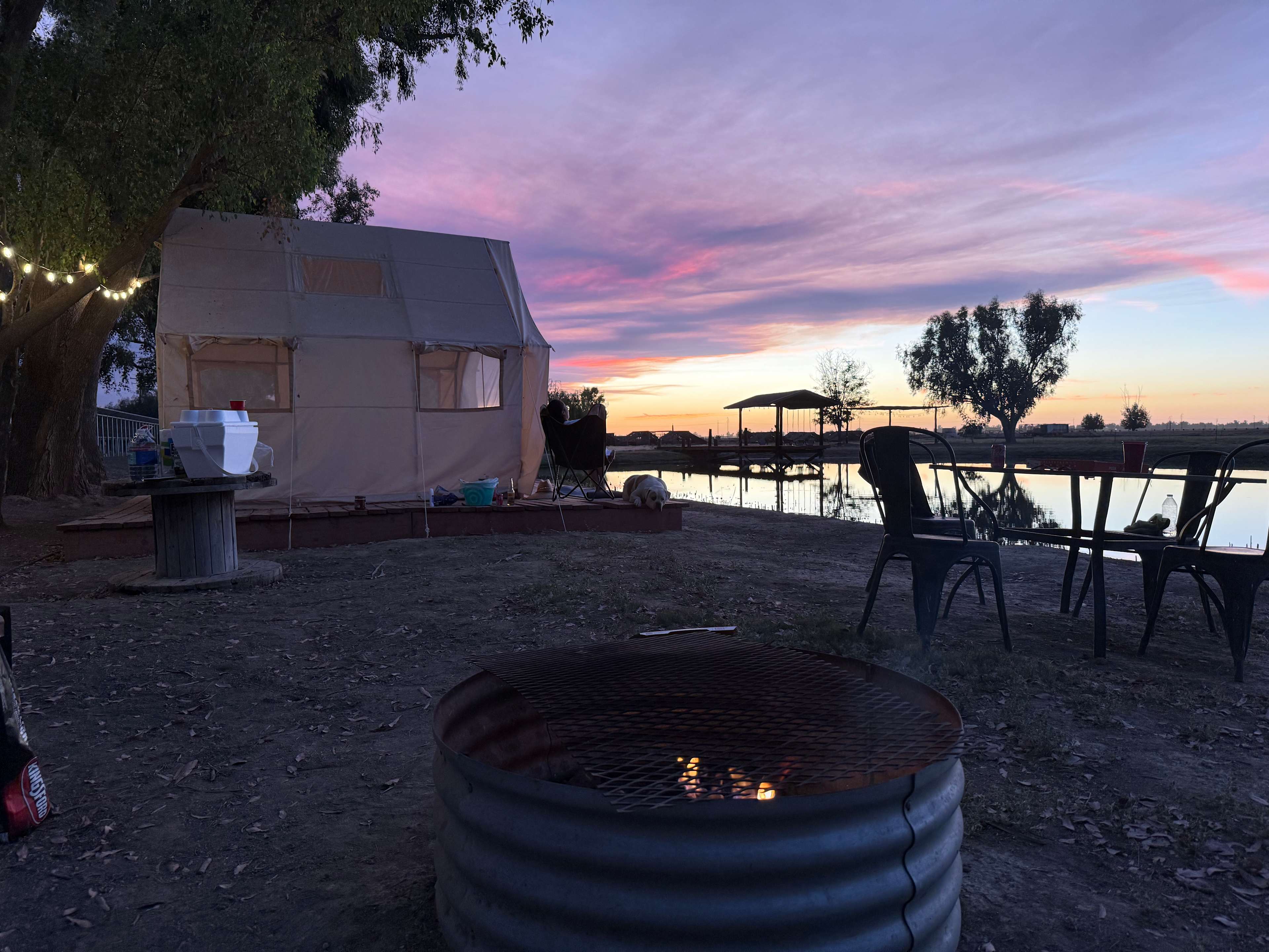 Bakersfield Farm Animals & Pond