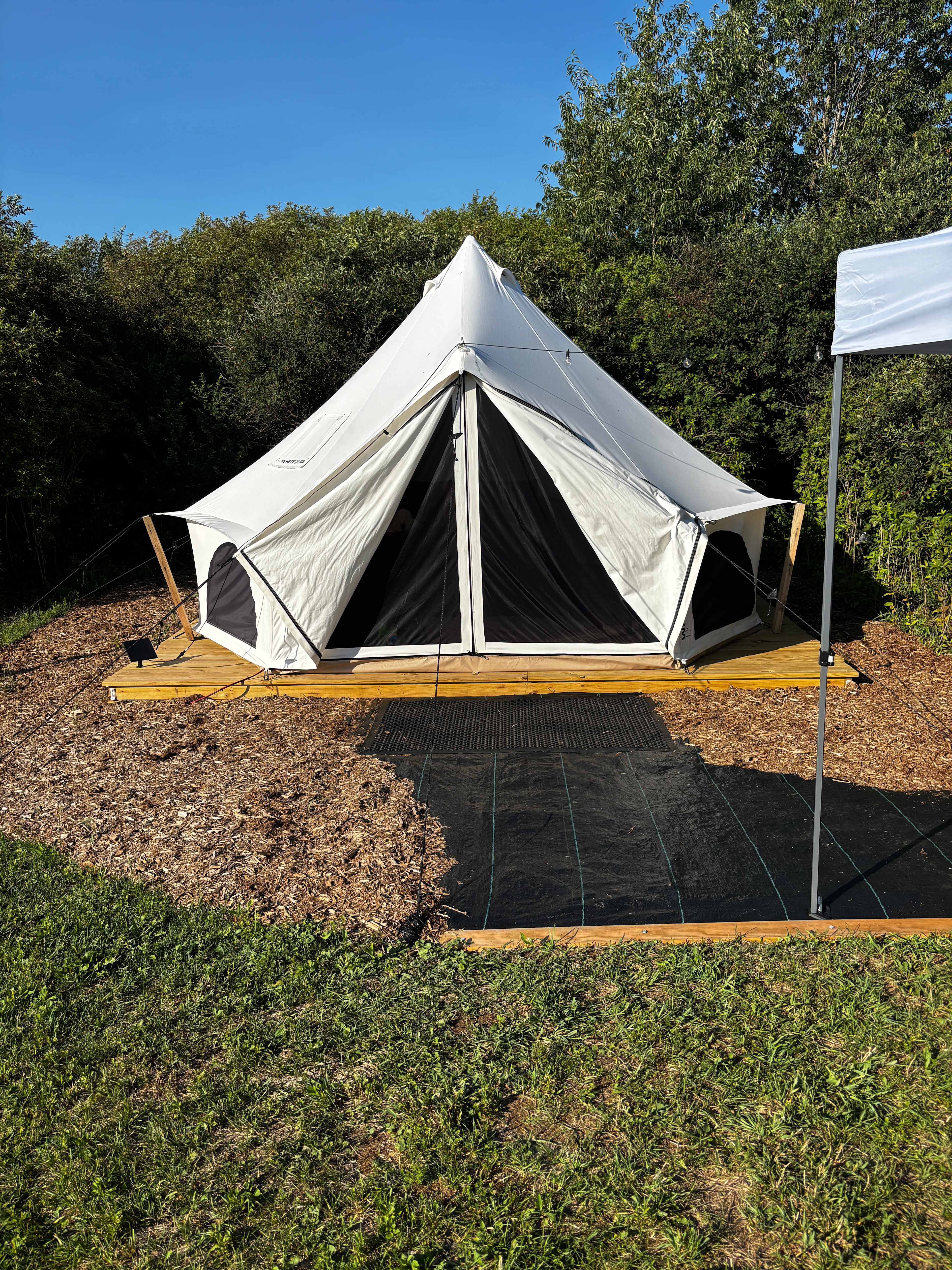 Overgrown Ridge Camp By Letchworth