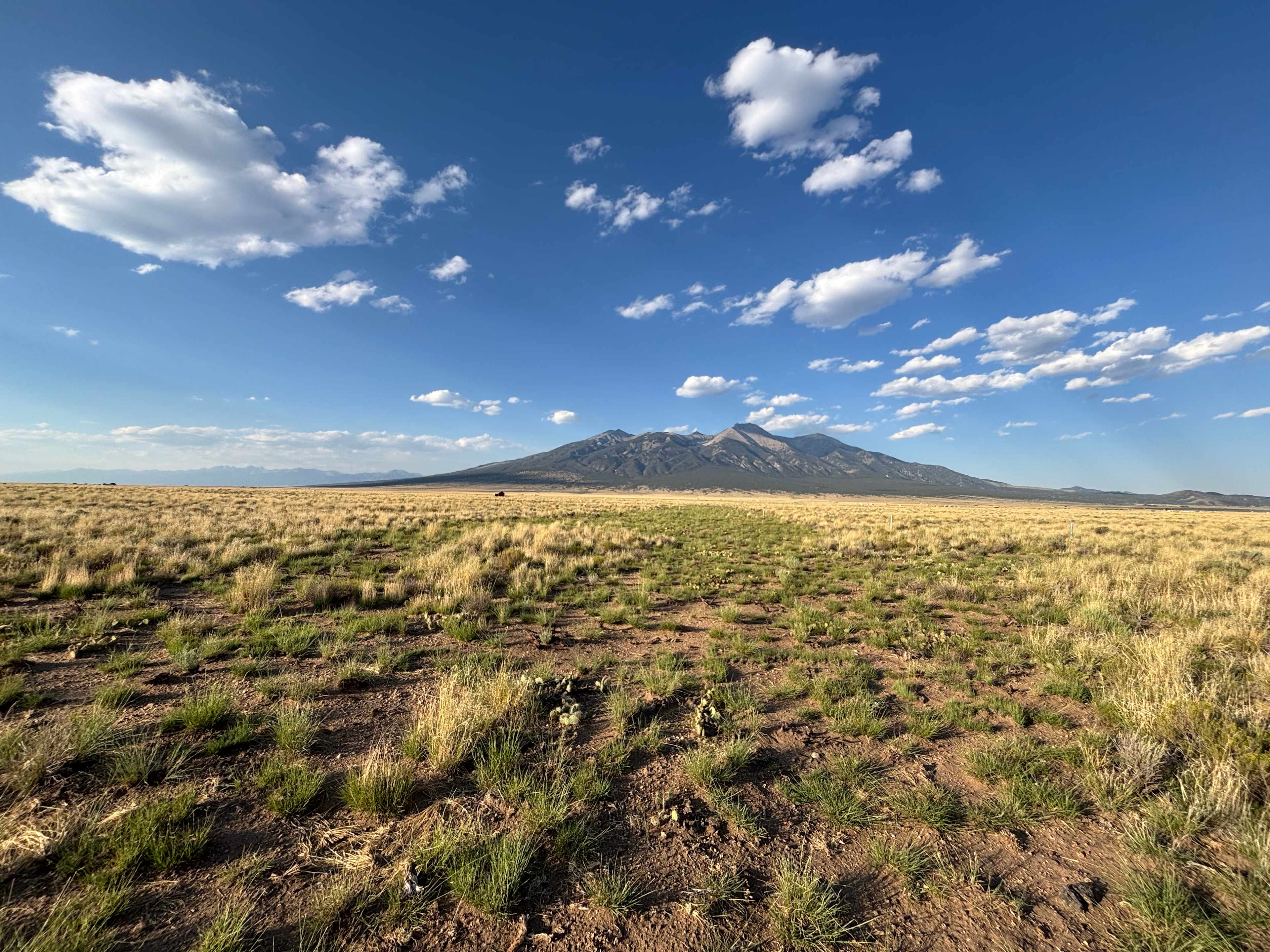 Secluded San Luis Valley Campsite
