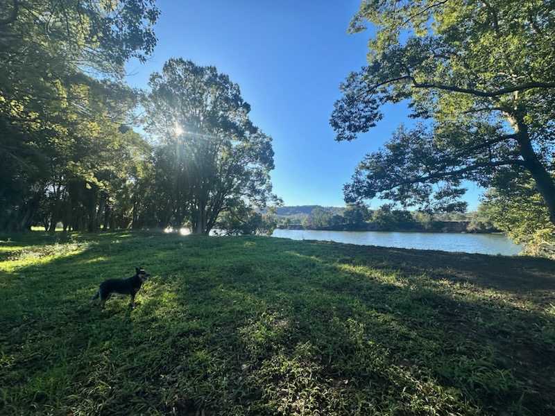 Riverwood 383 Fish off the Banks
