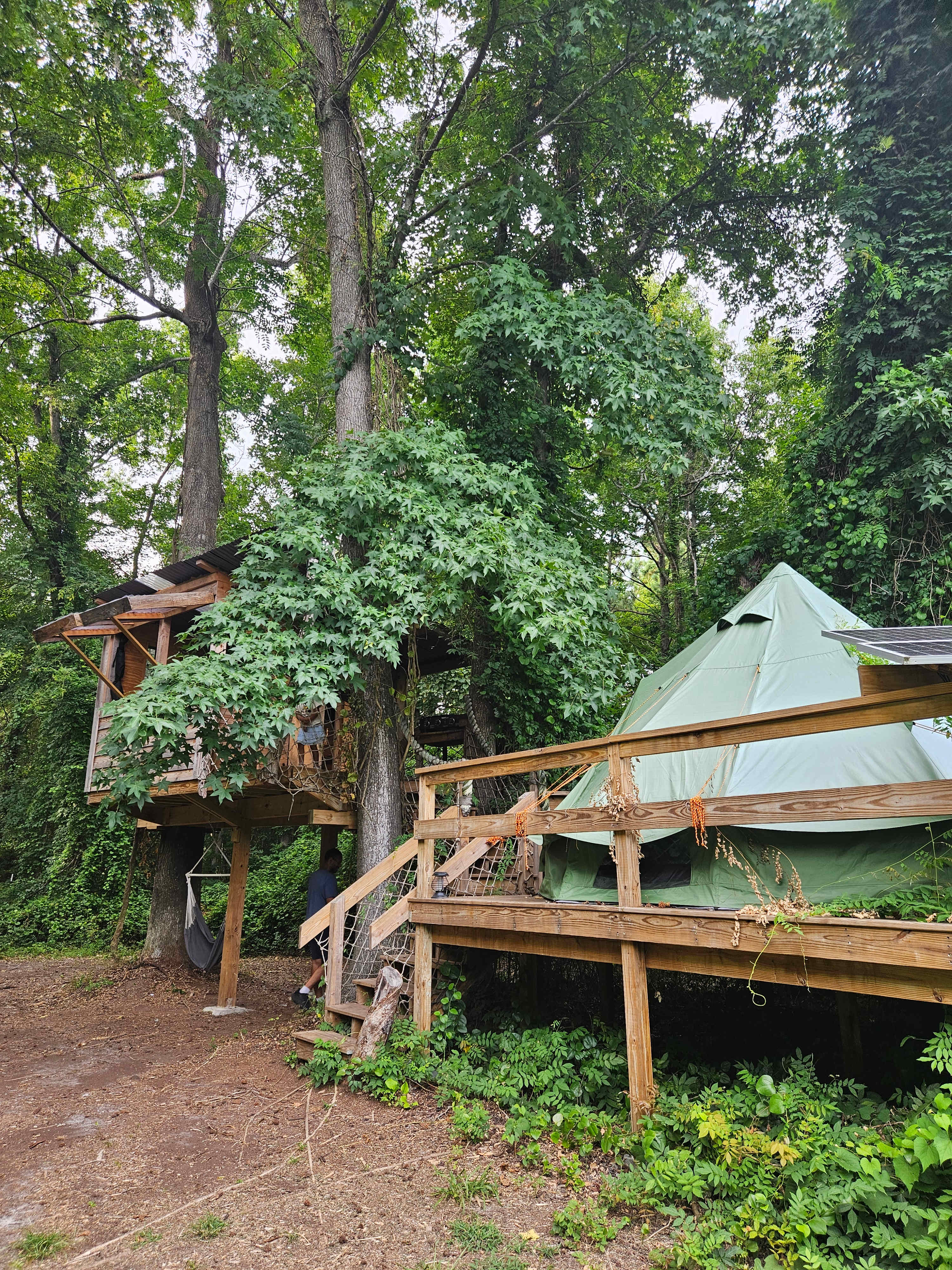 The Guinea Farm, Field, and Forest