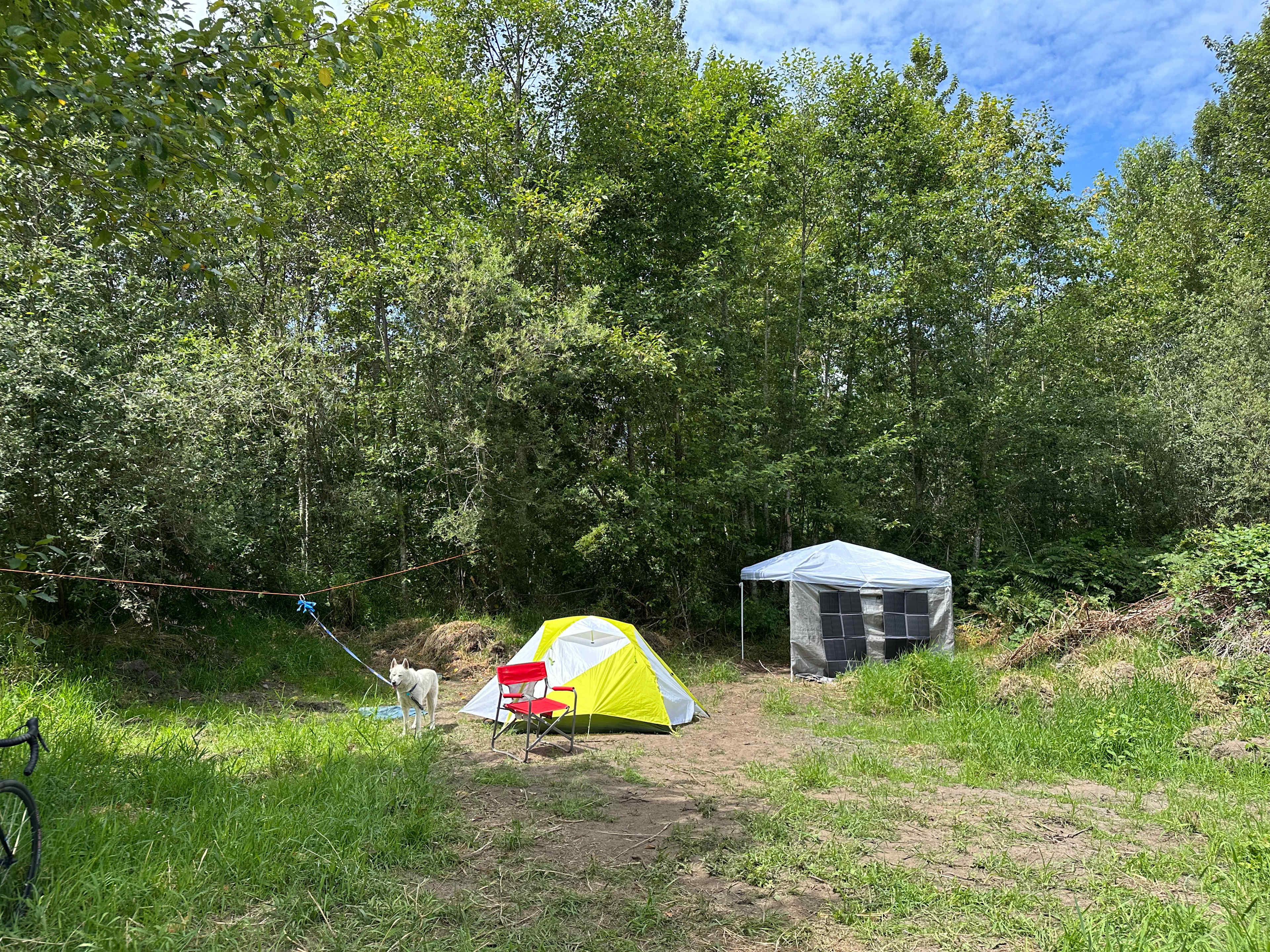 A view of our campsite. You also have permission to use this photo in your campsite marketing if you wish.