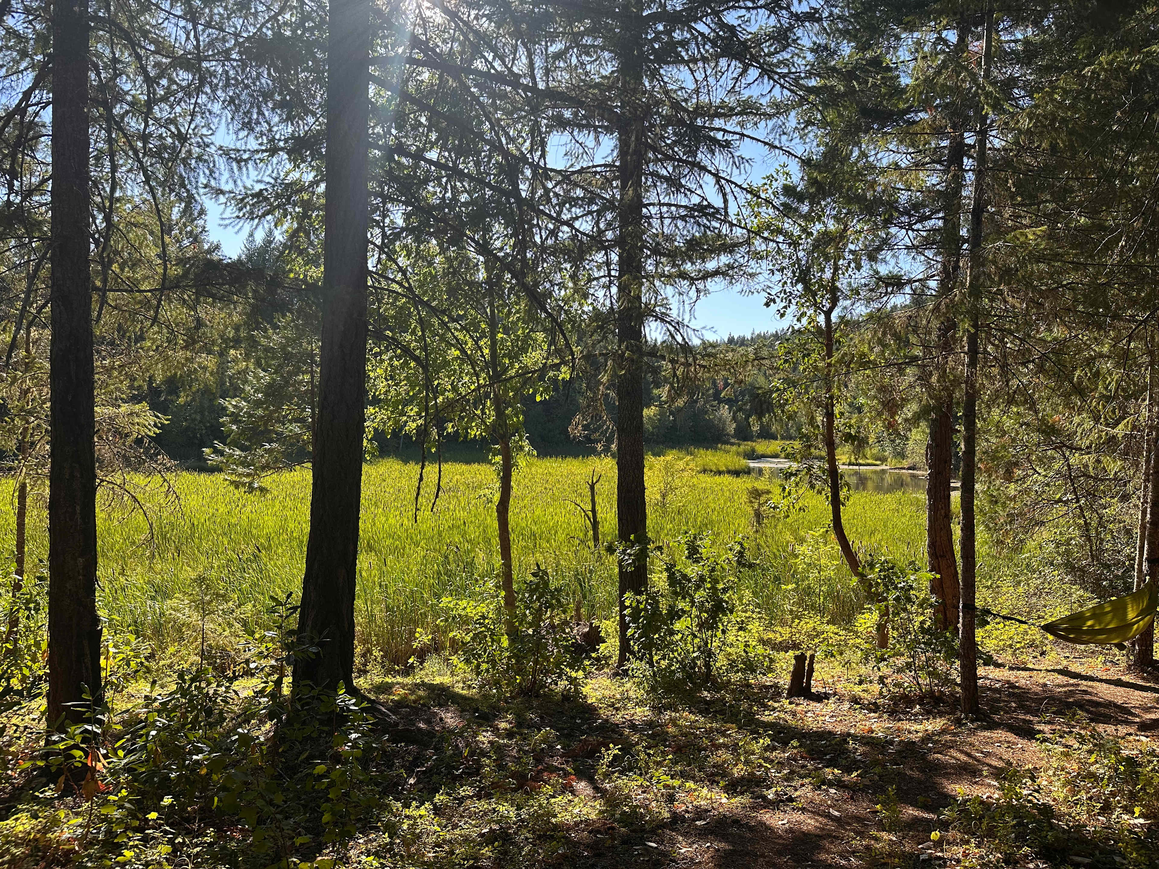 Crater Lake Private Woodlands