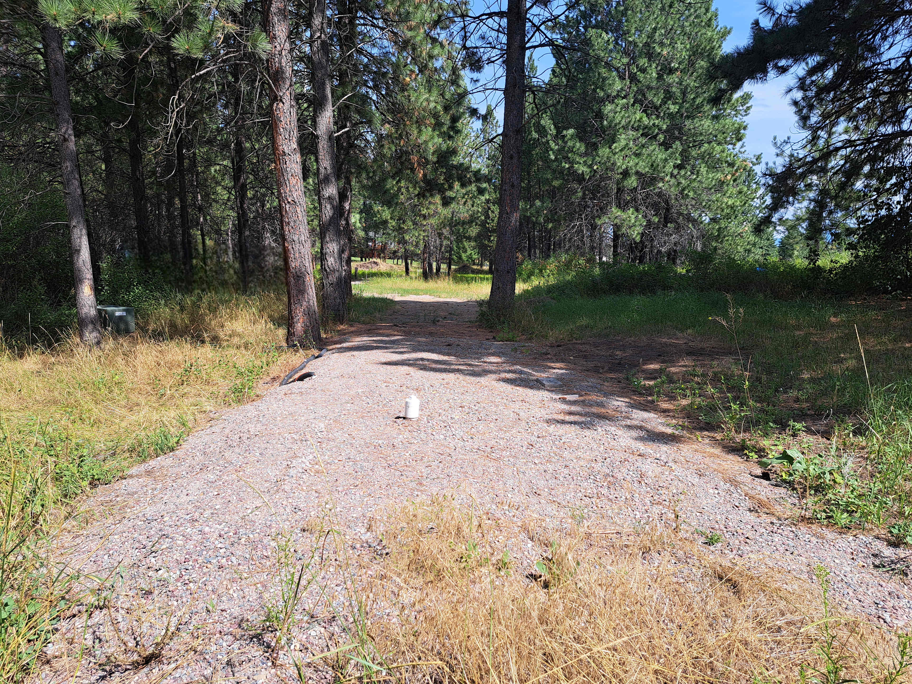 Diamond In The Rough