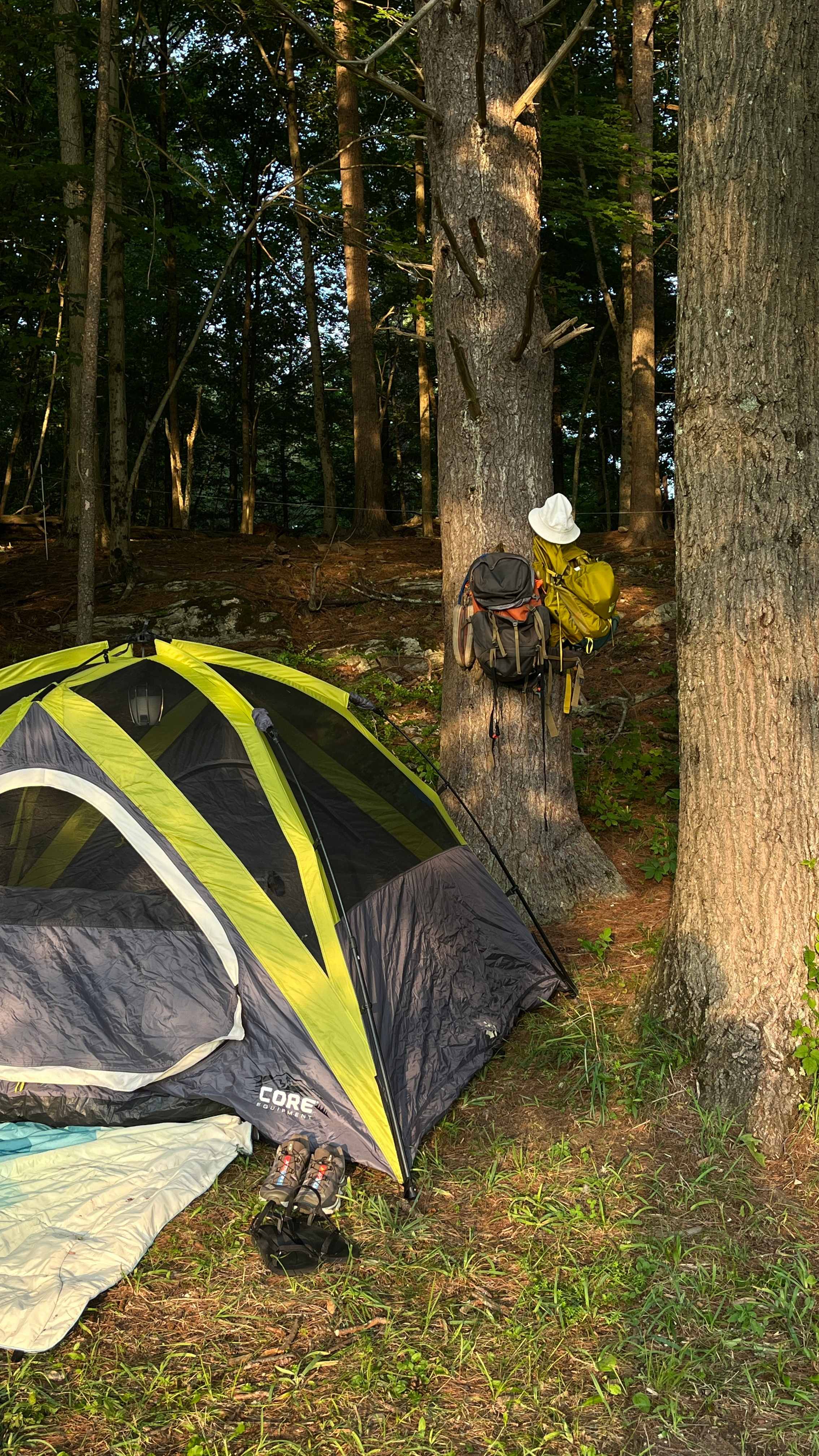 Moon In The Pond Farm