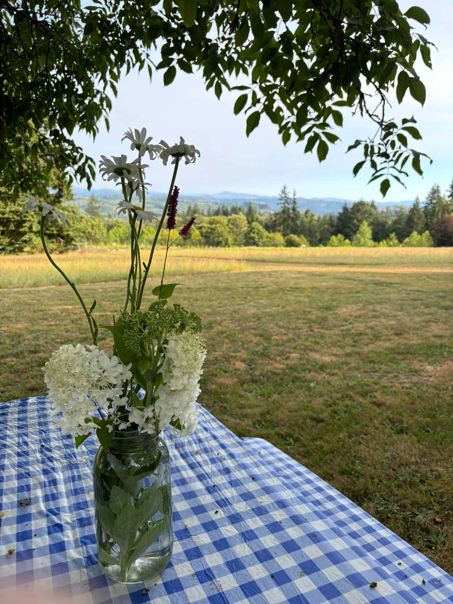 Host provided covered picnic table and flowers in under a shady walnut tree