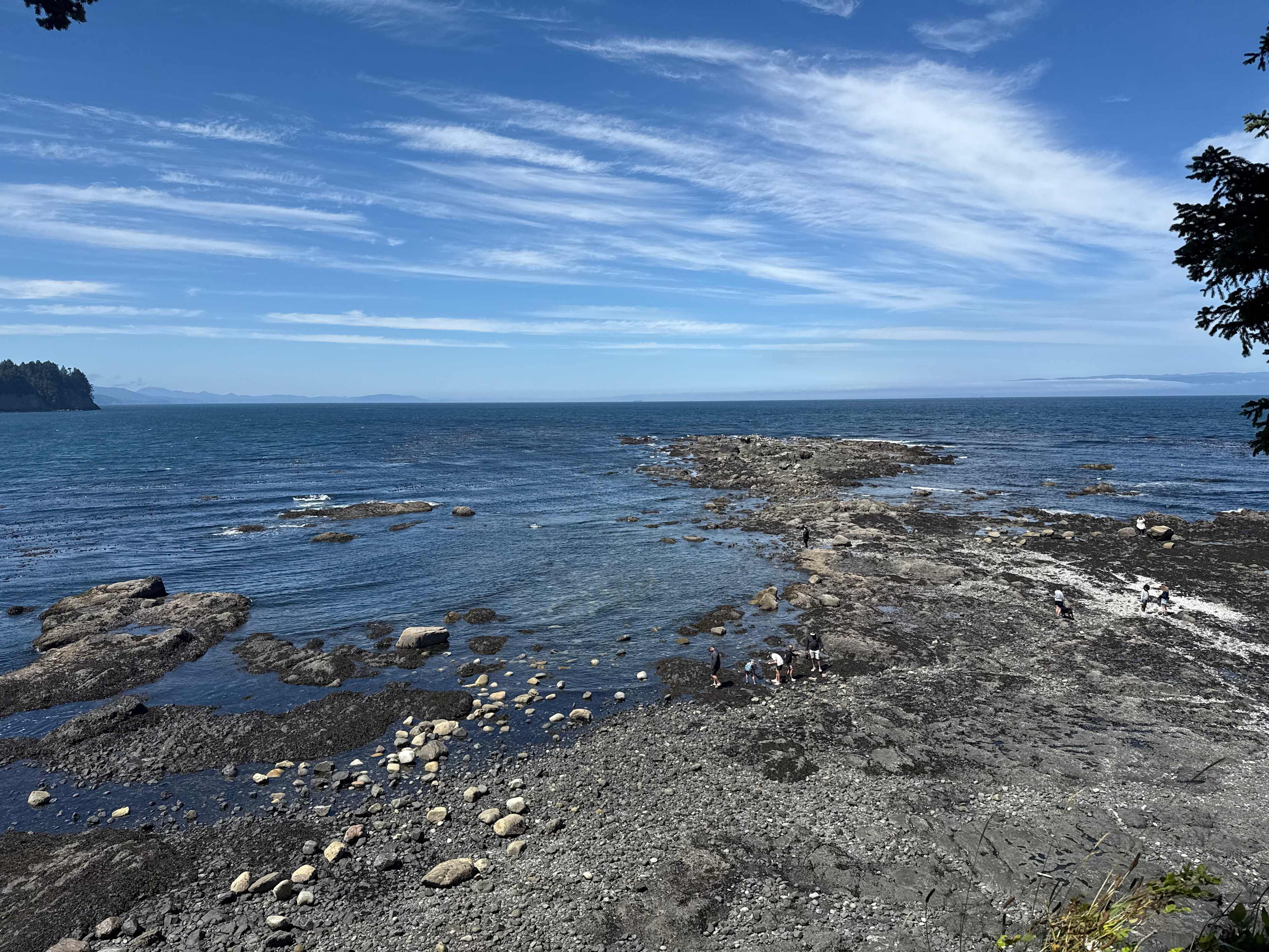 Salt Creek tide pools