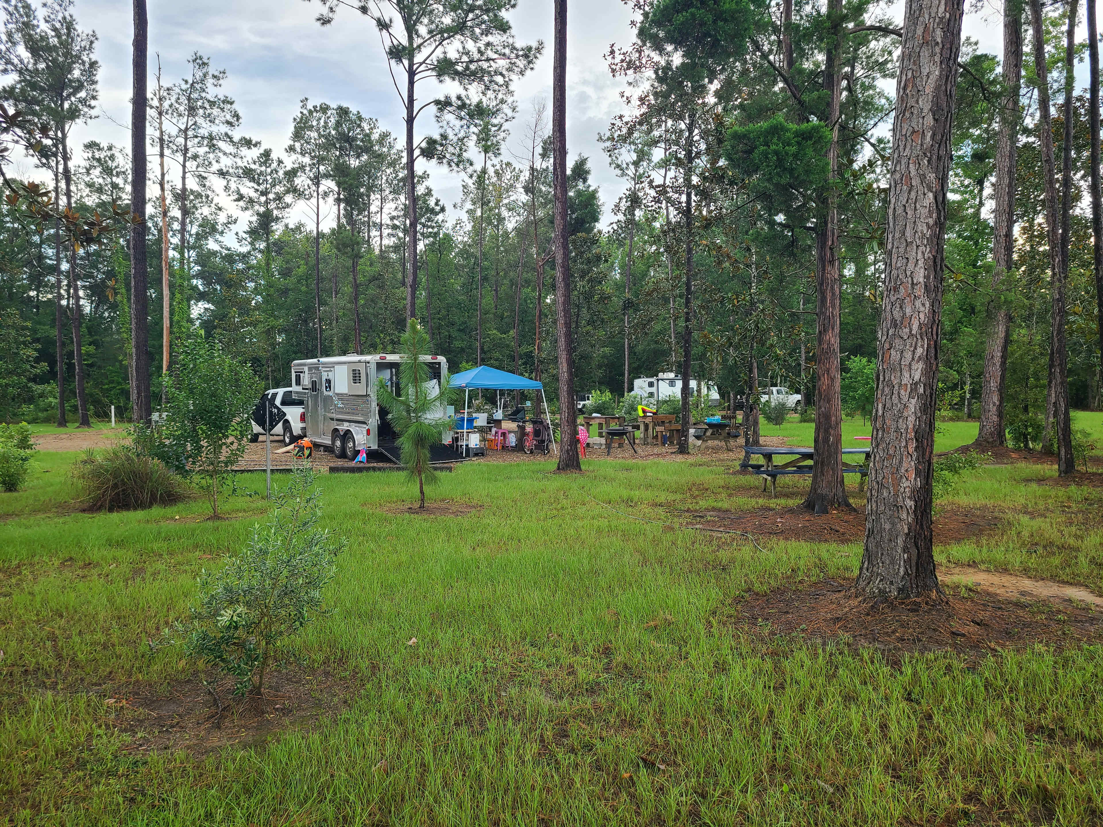 "Sweet Tupelo" on the "Big River"!