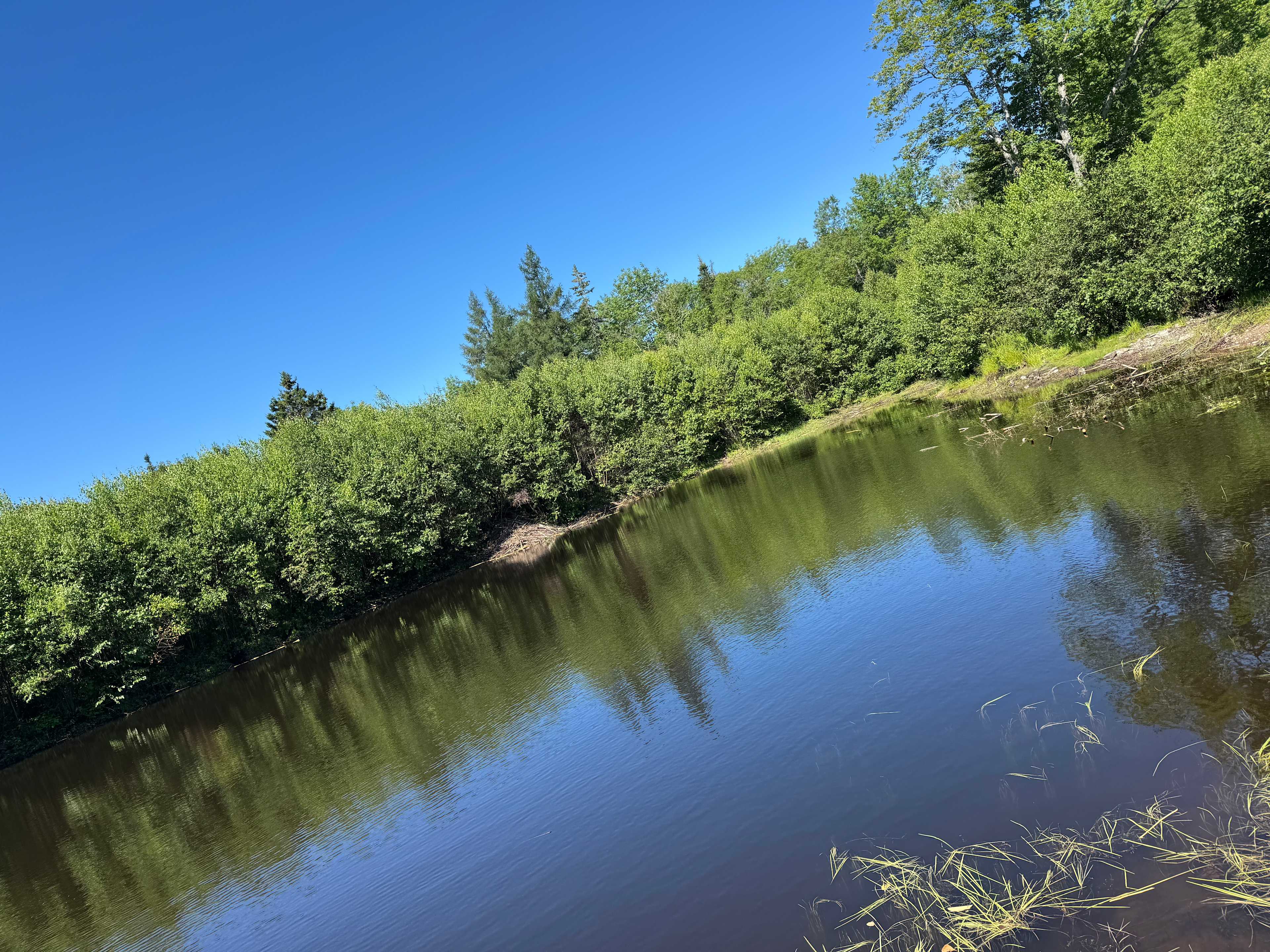 Wickham Nature Retreat