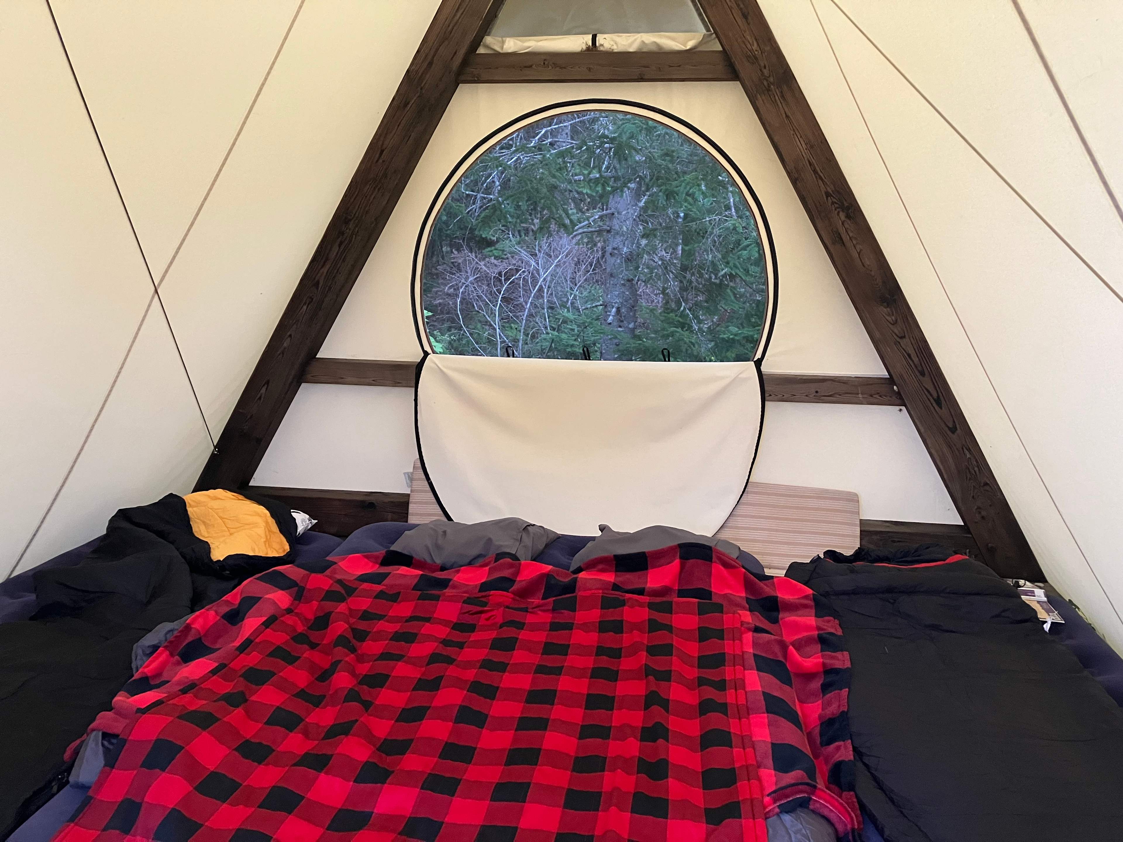 Roomy tent large enough for 1 queen + 2 twin