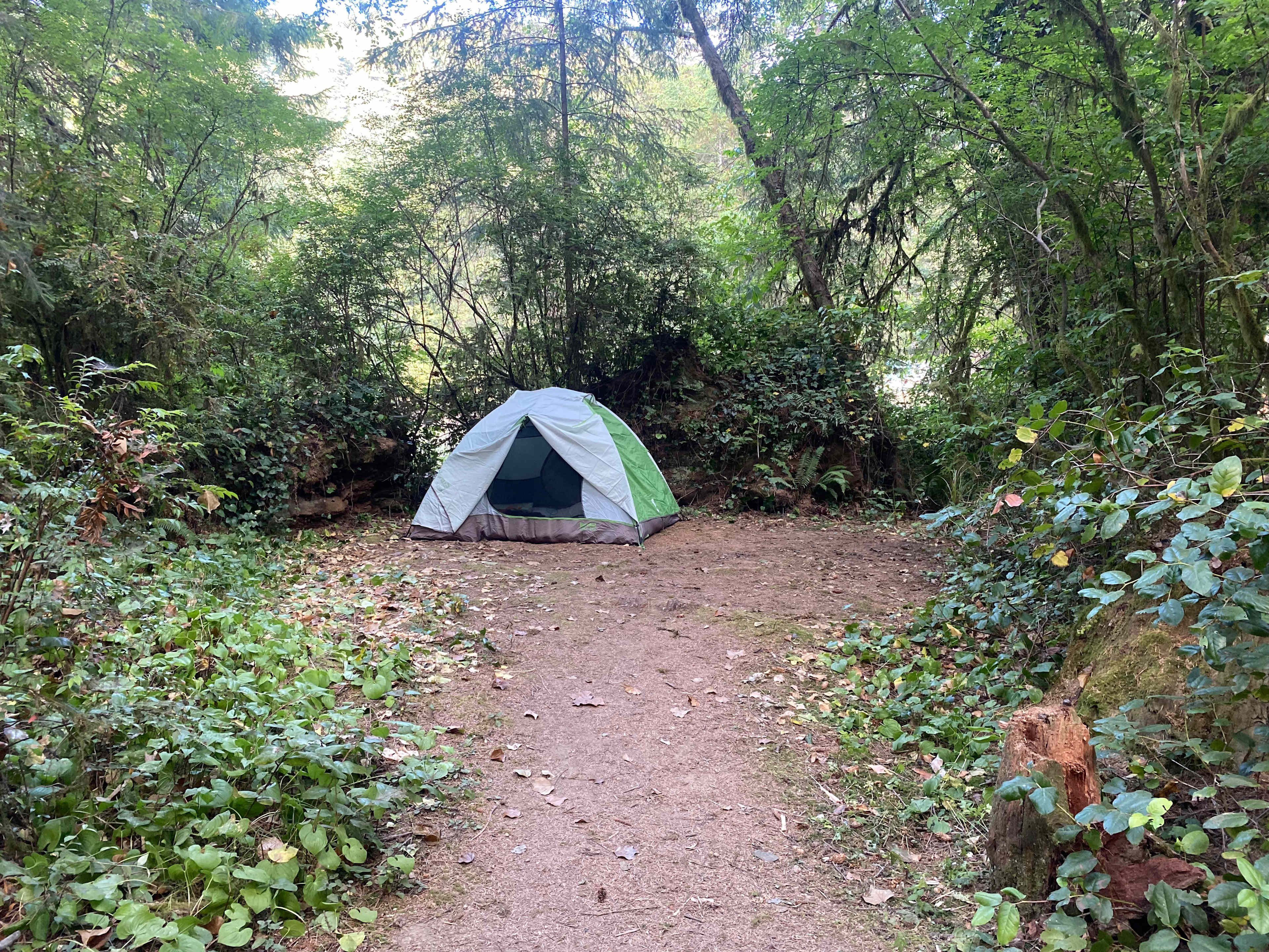 Mystic Forest Campground