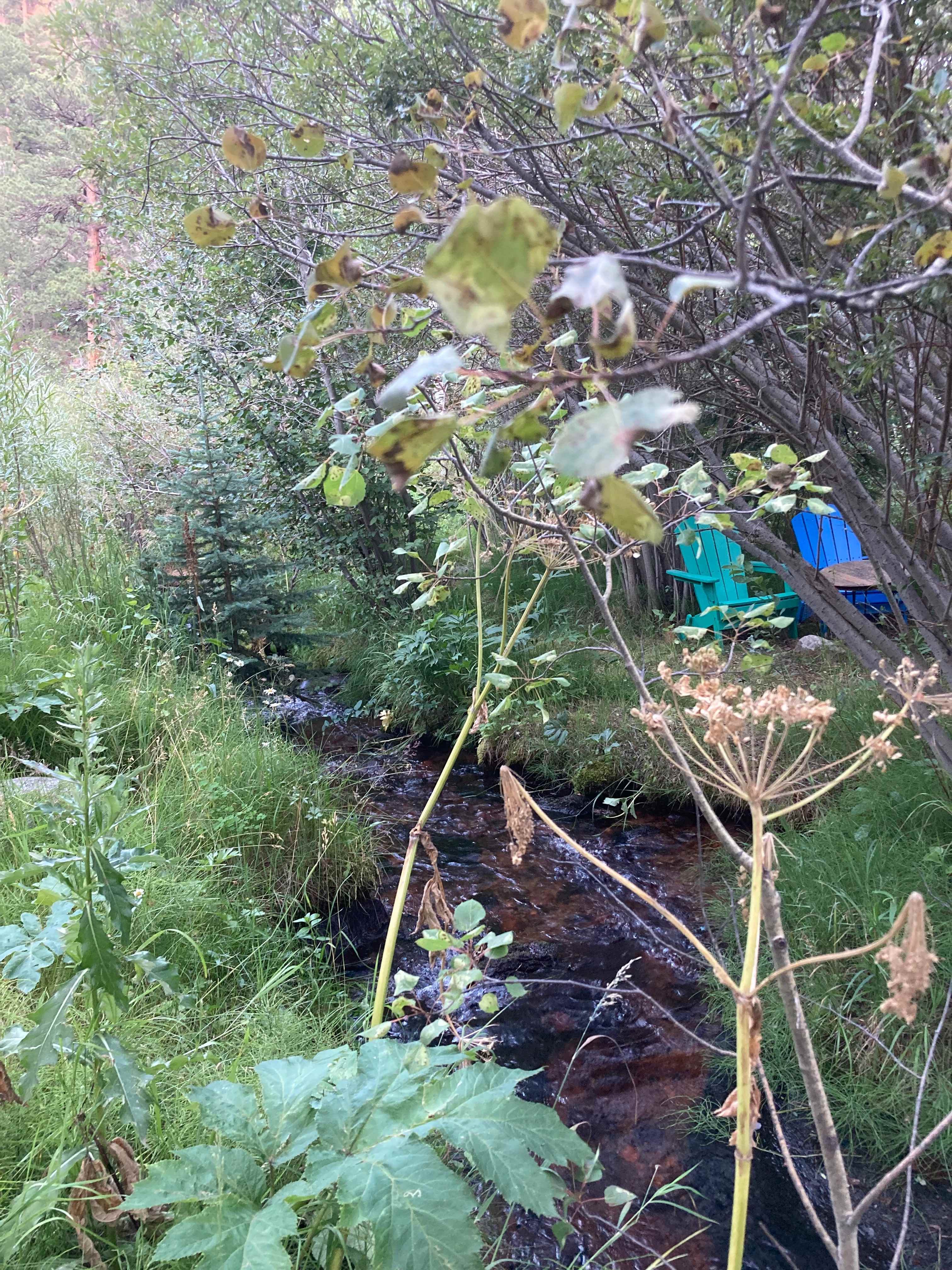 Rocky Mountain Glamping