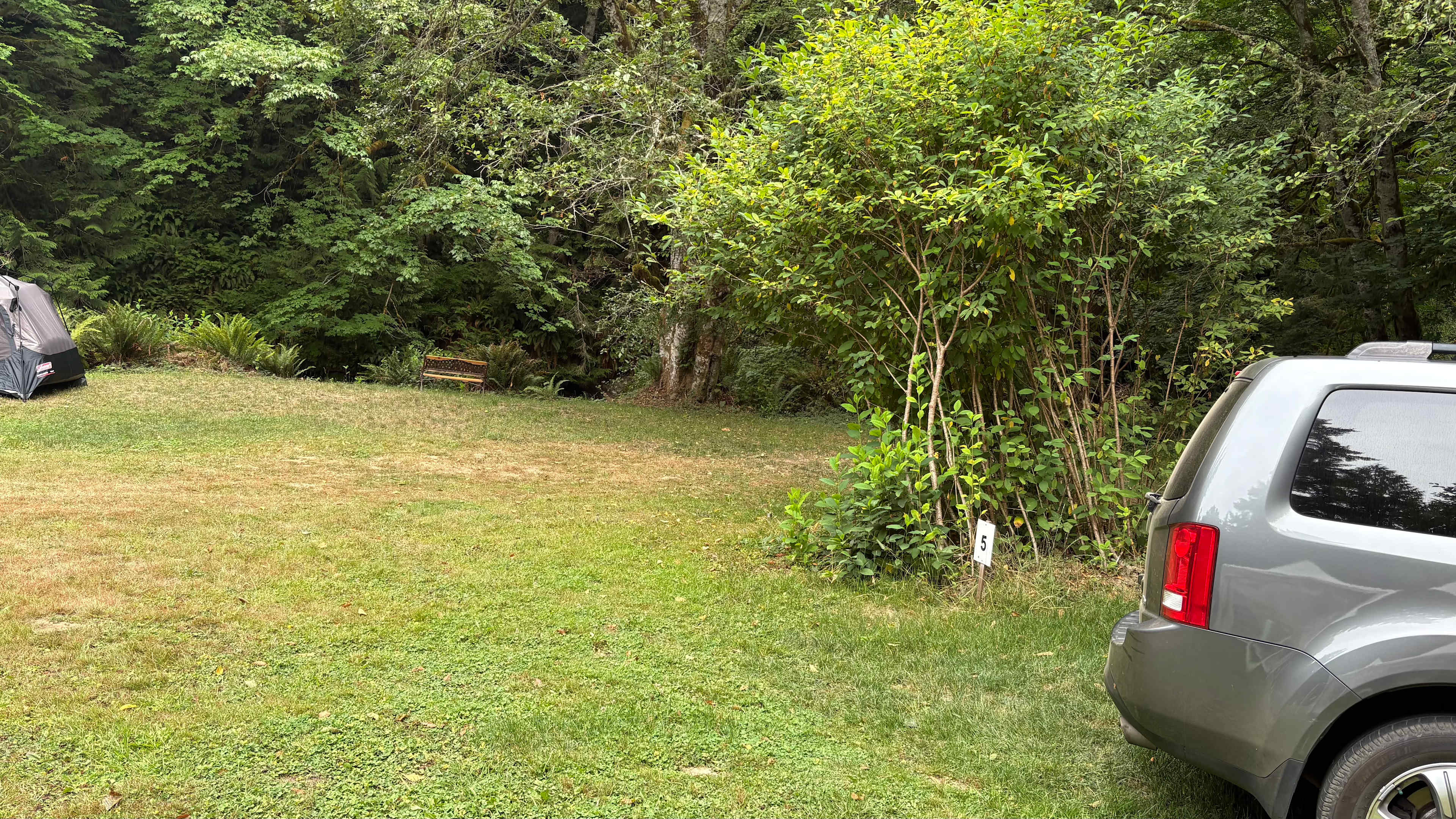 Lyre River Retreat
