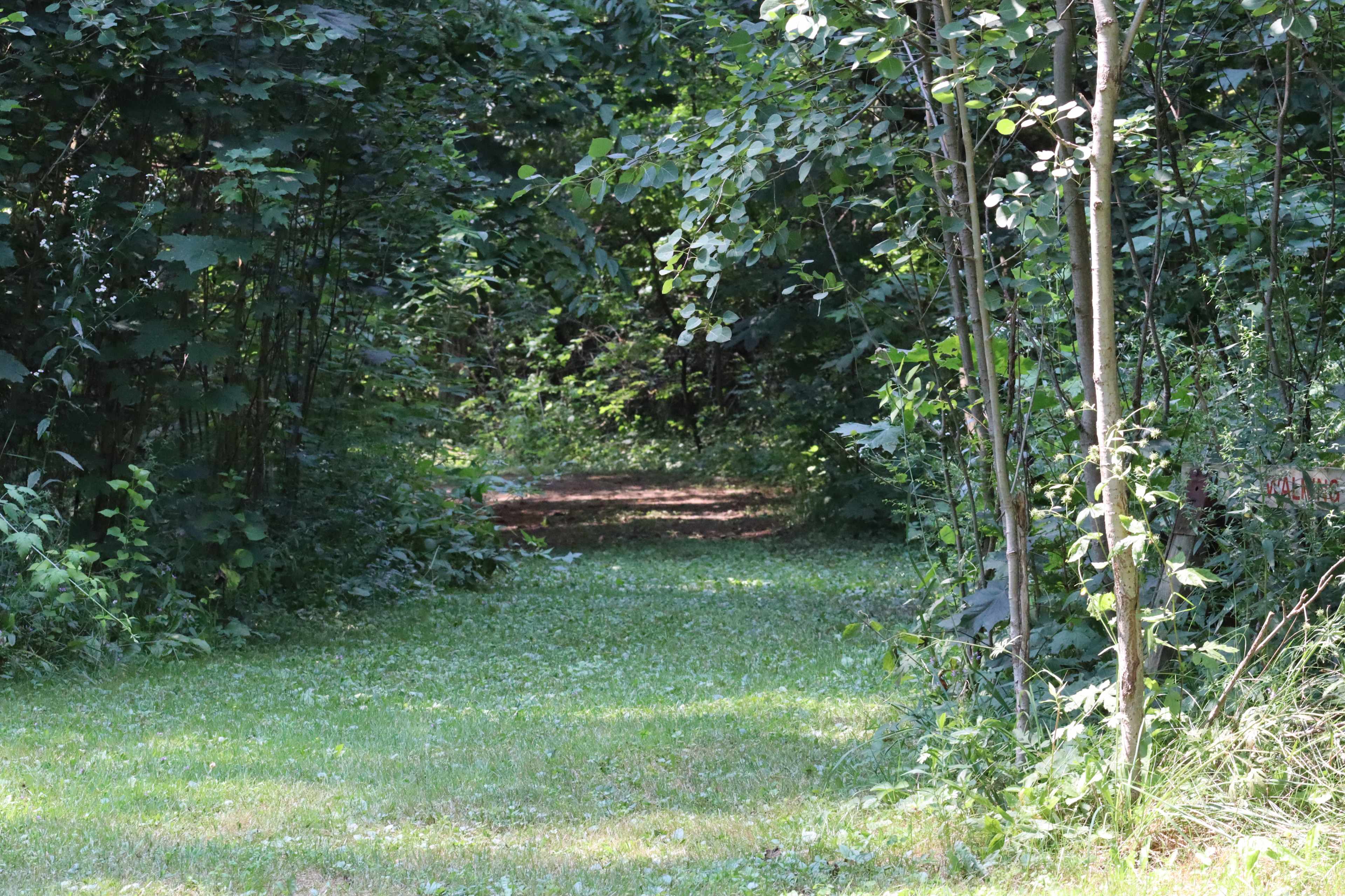 Prospect Forest Acres camping
