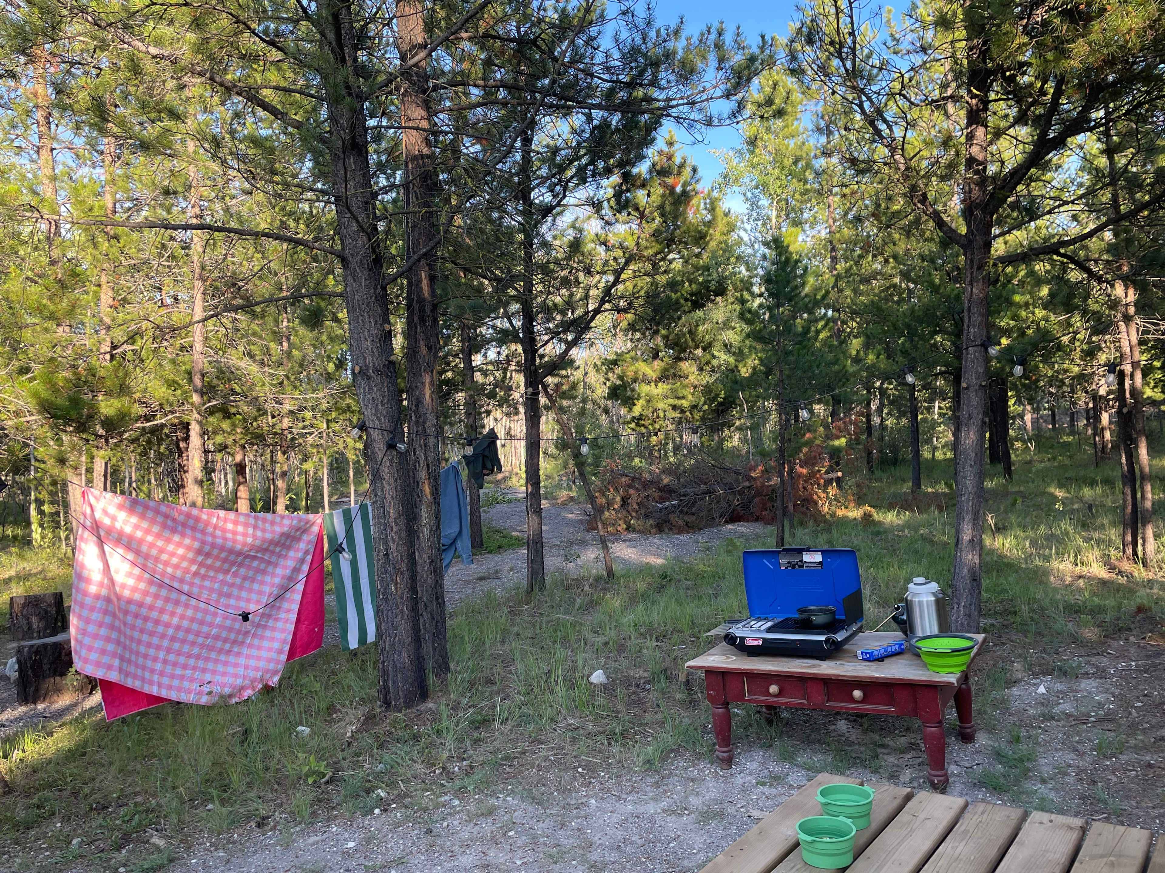 Sunset Knoll Sites on Big Bar Lake