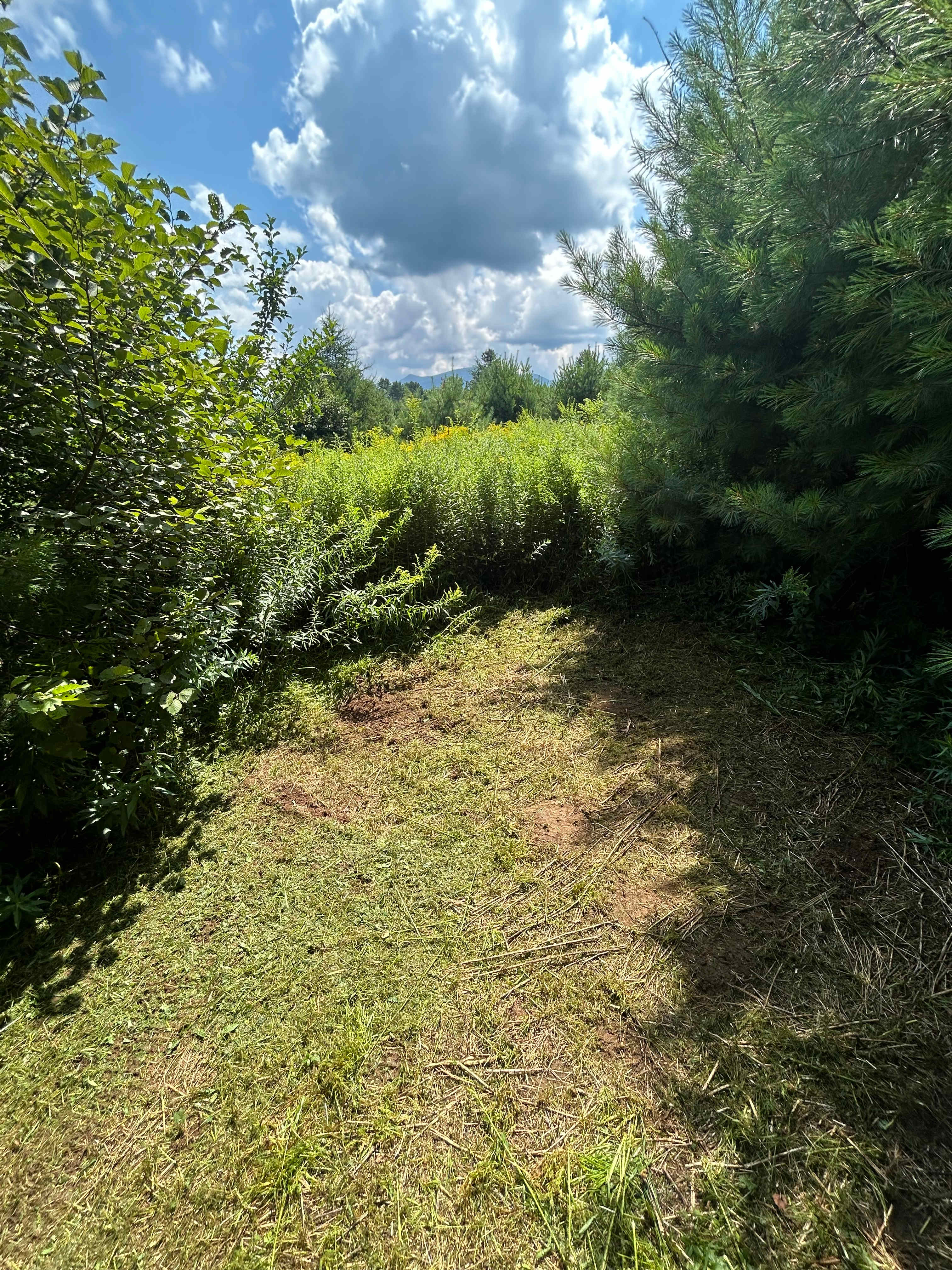 Room for one small pop up tent