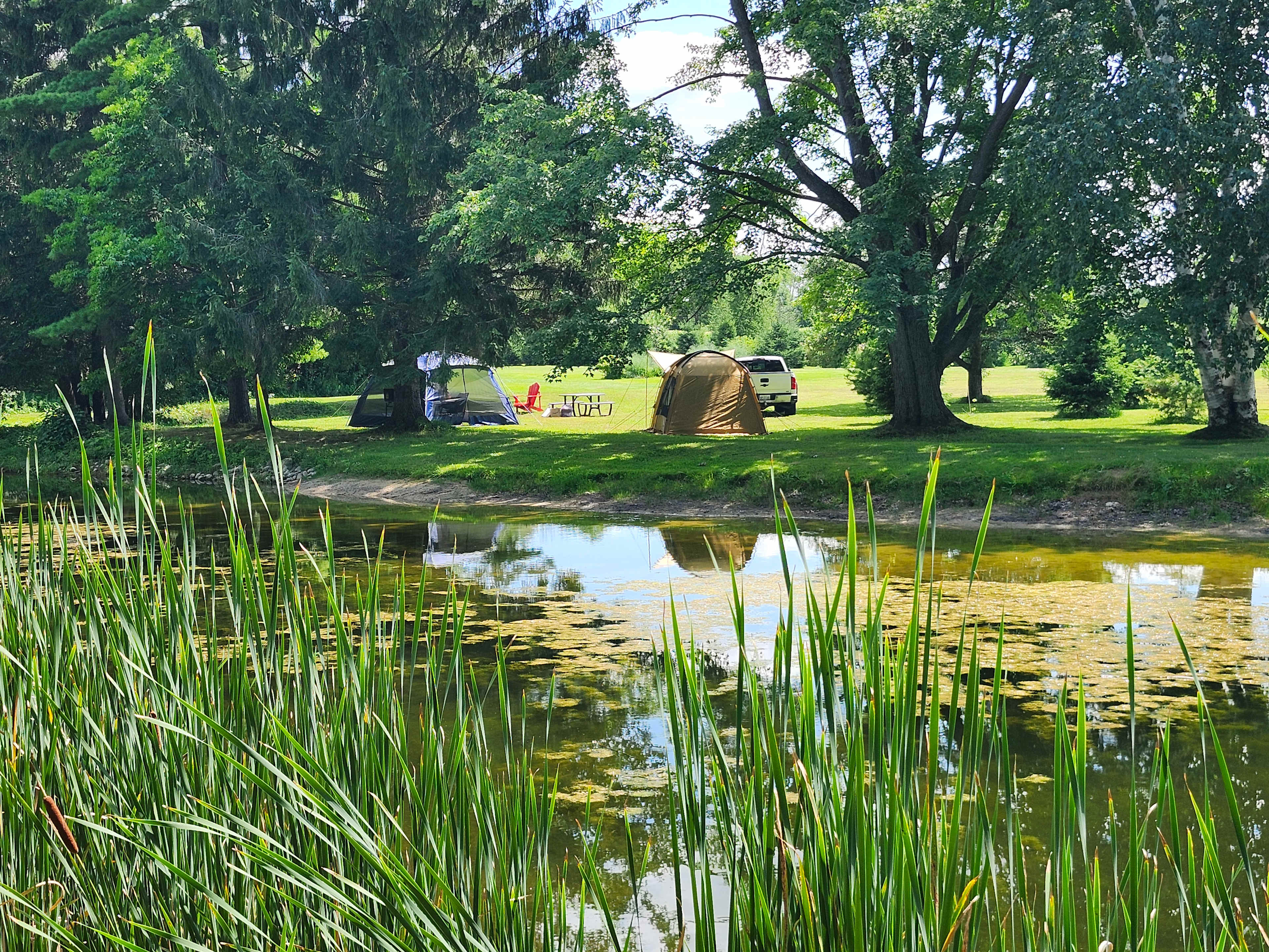 View from across the pond