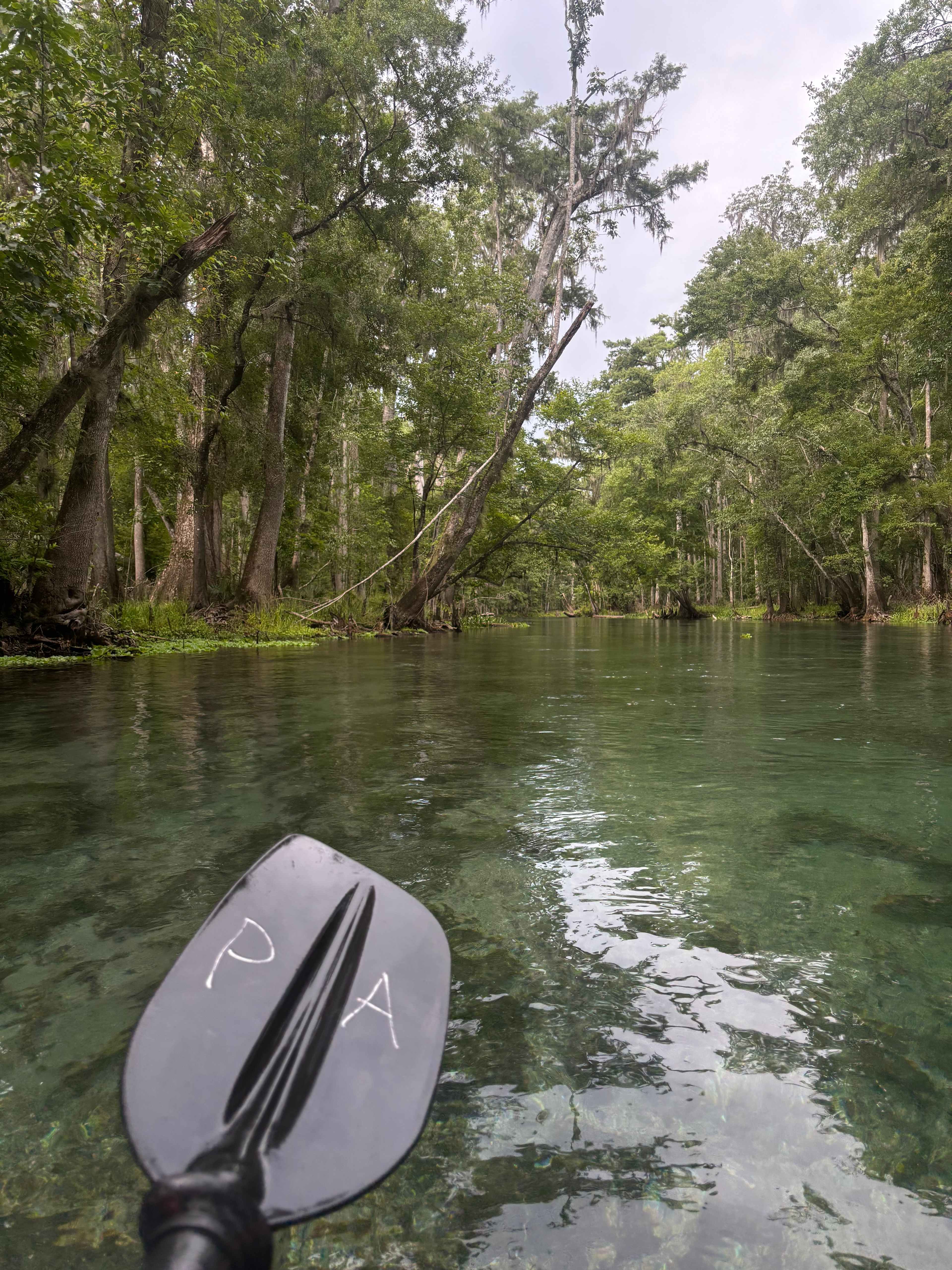 Royal Spring Riverfront "Treehouse"
