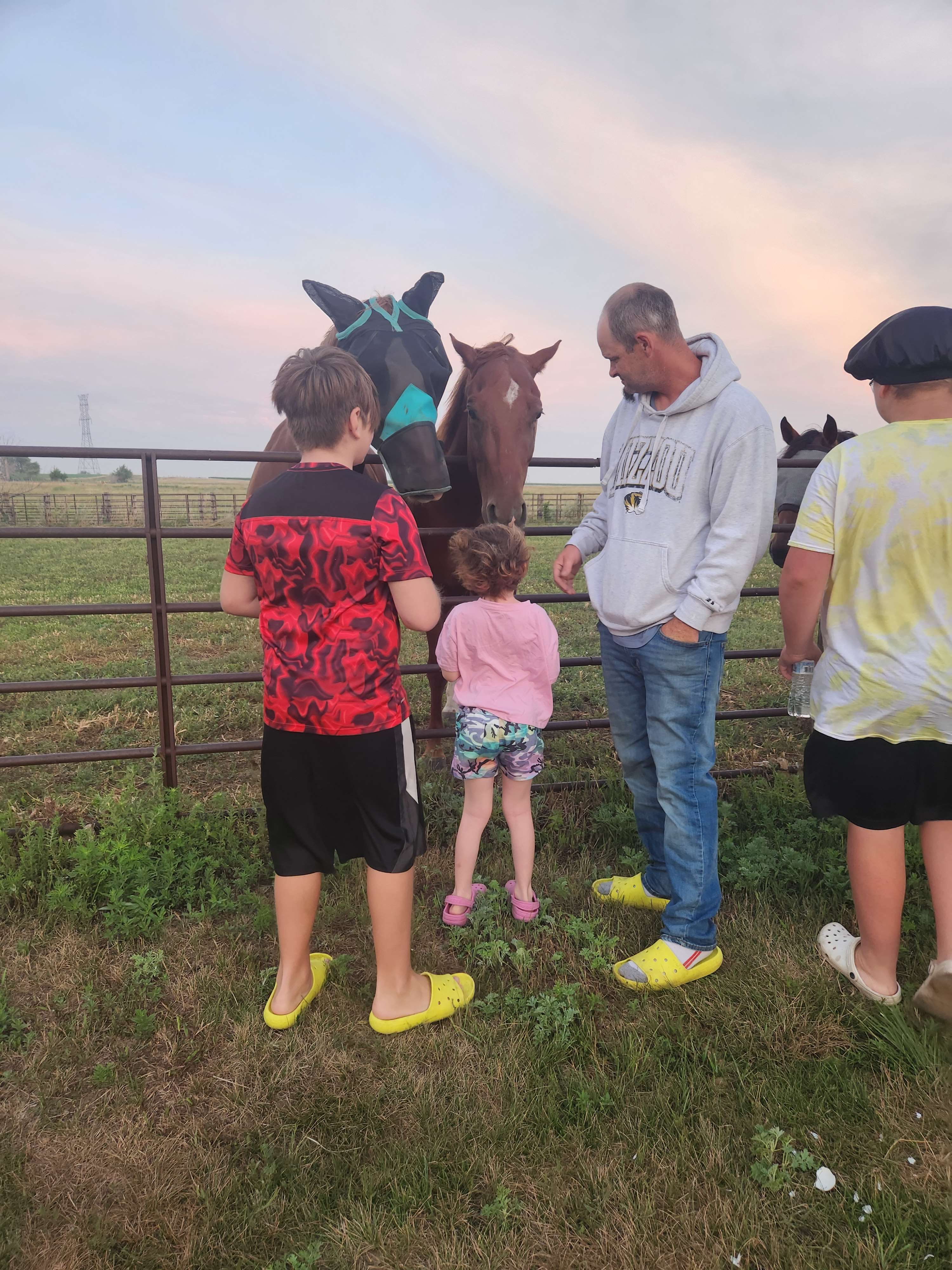 The horses that were also visiting came to visit our site. 