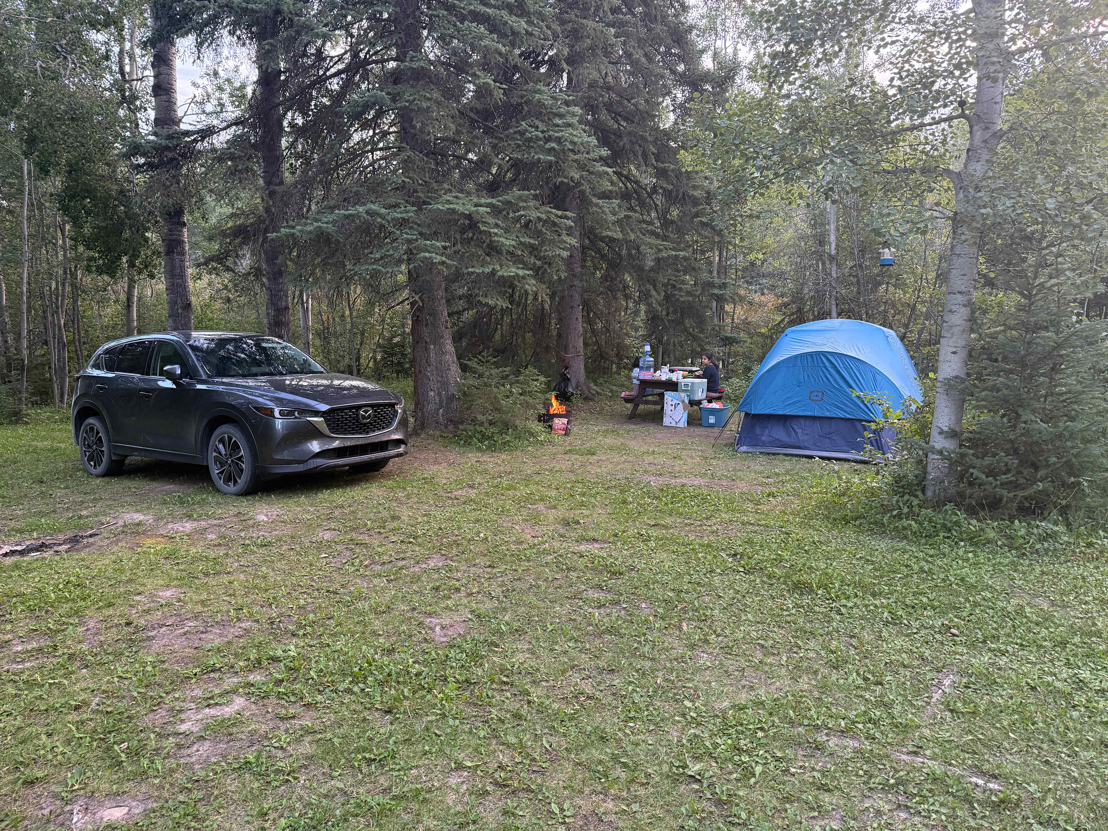 The Secret Sanctuary