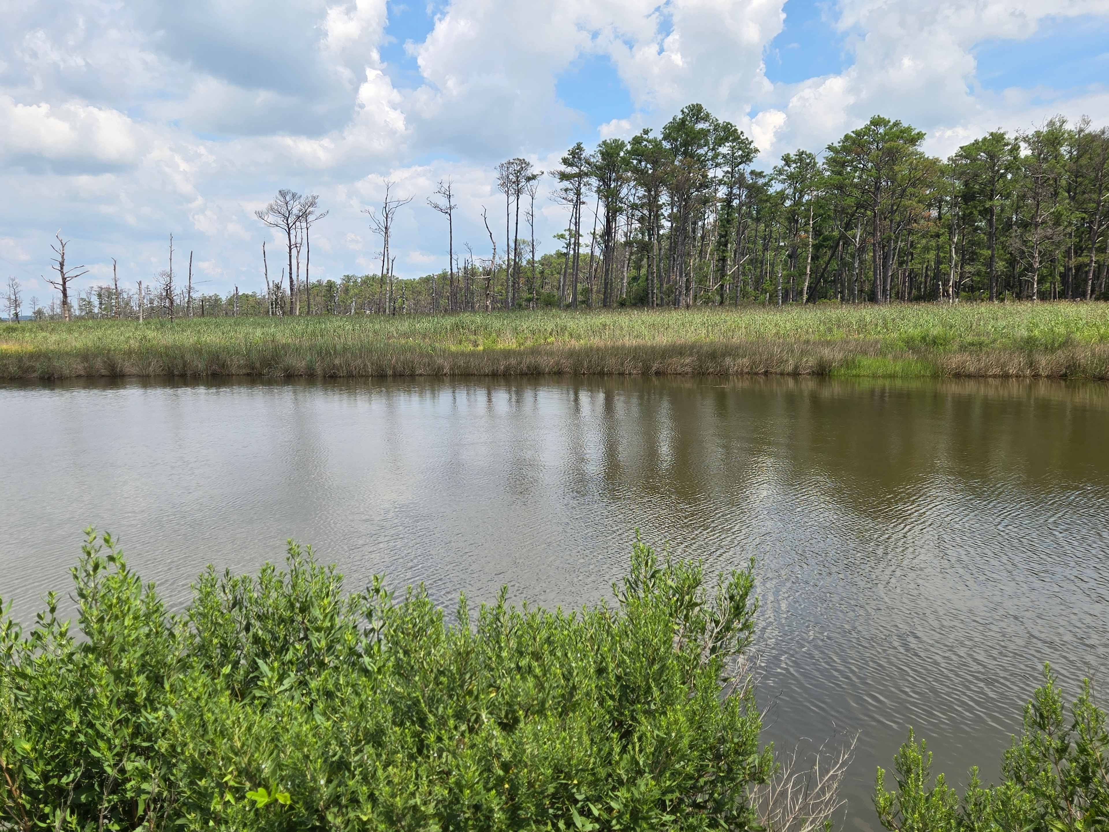 Parson’s Landing