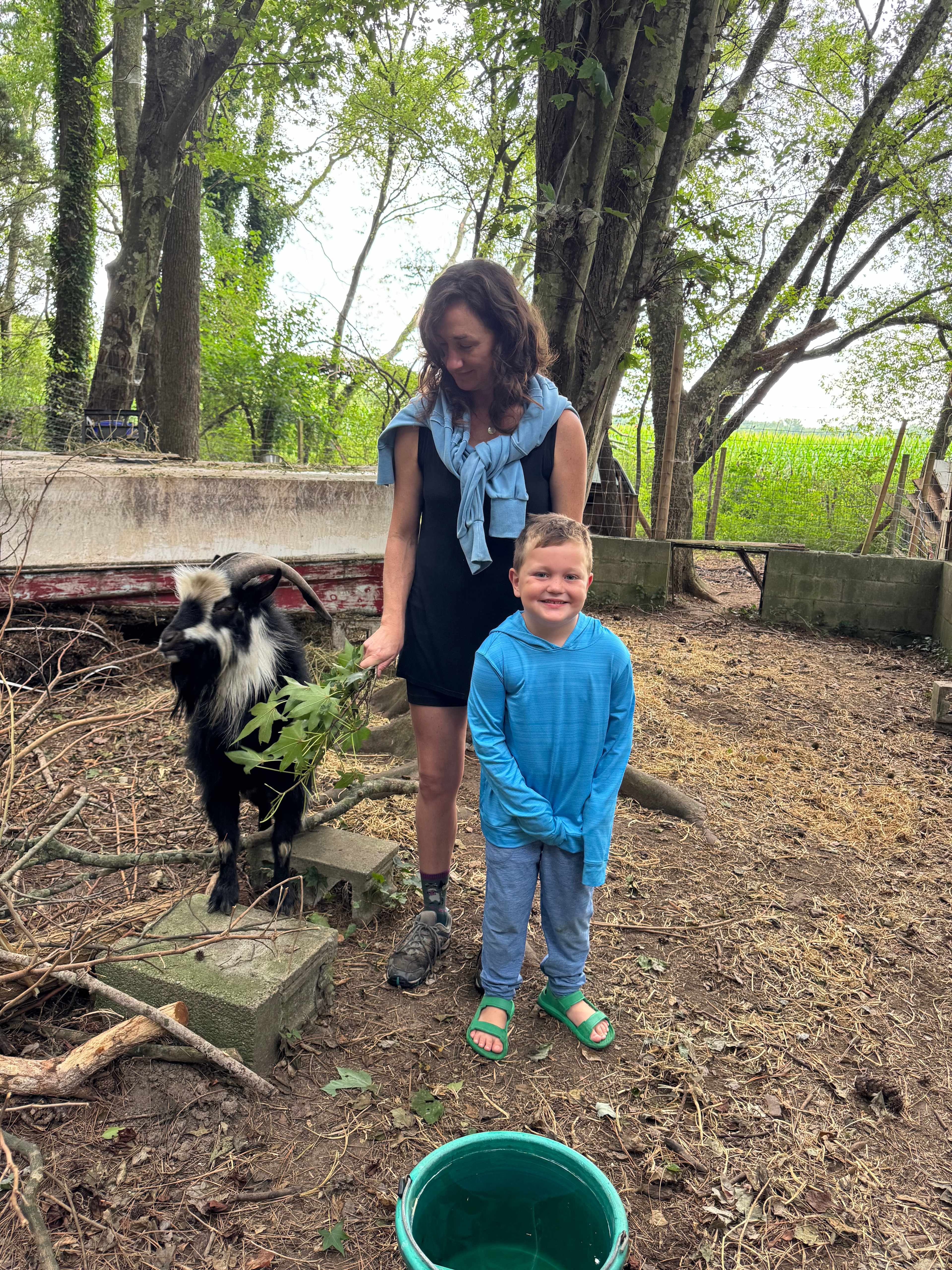 Shannon introducing the top goat