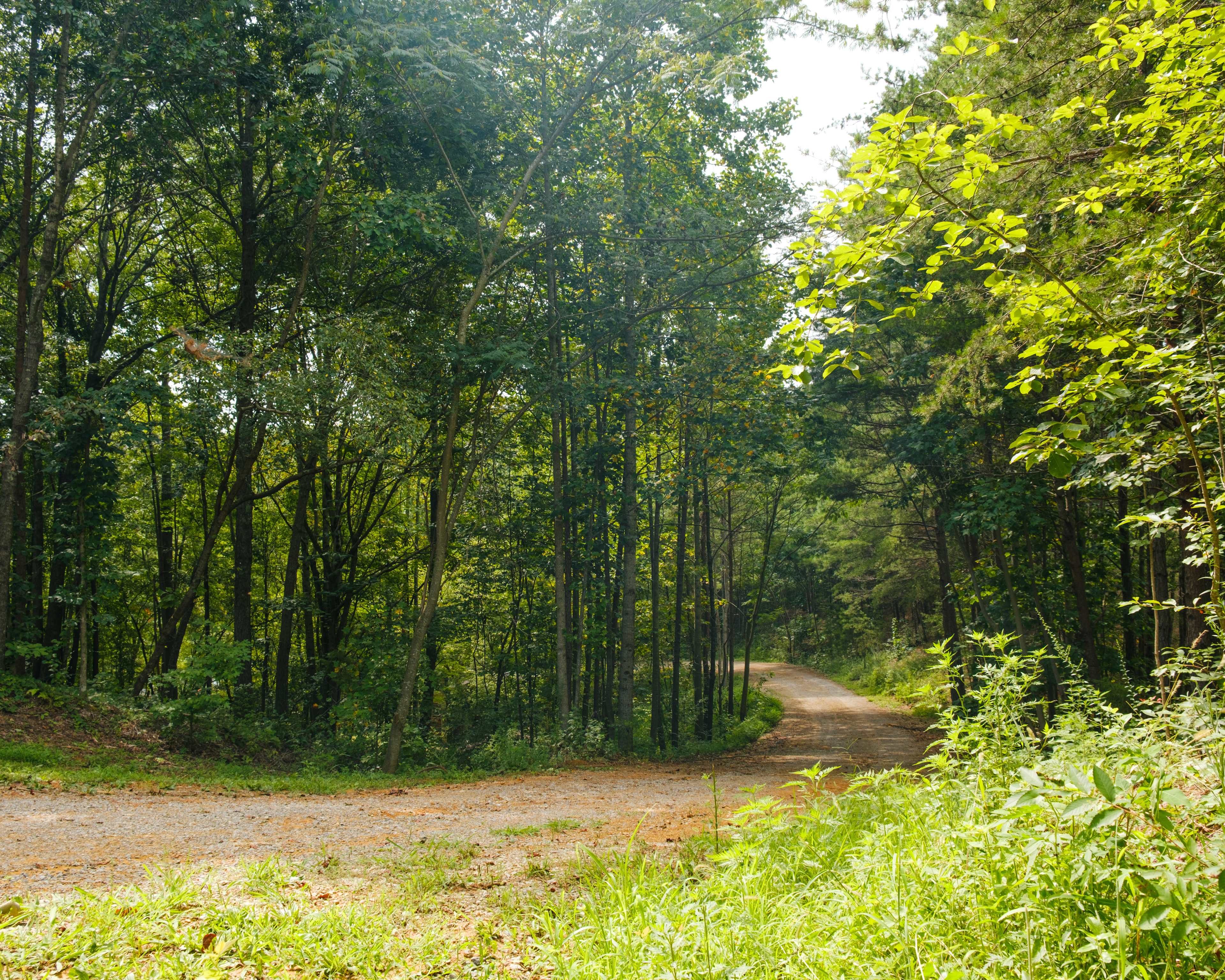 gravel road up to the campsite, a bit steep in some sections, but not too bad!