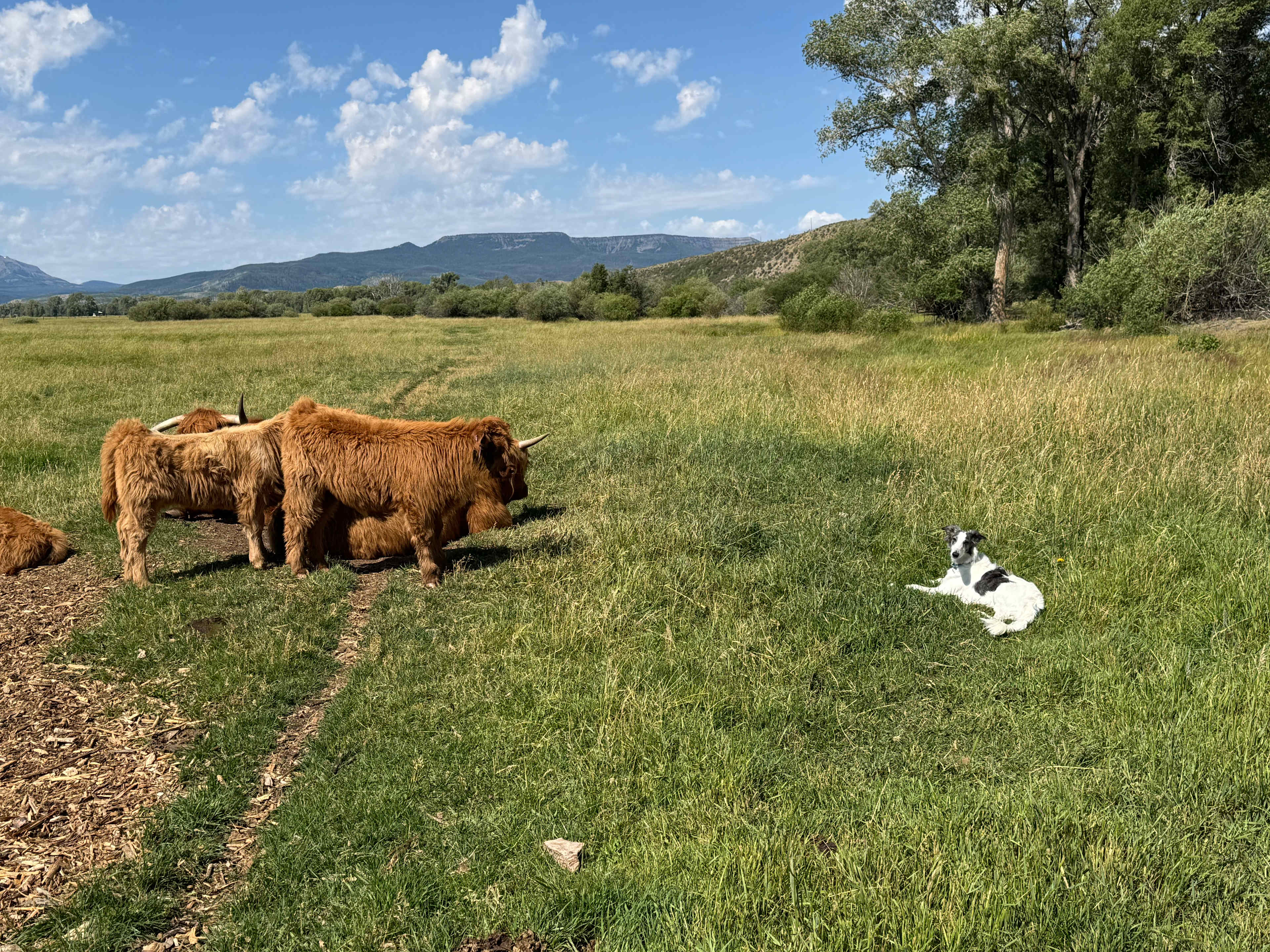 Valley of the Bear Ranch