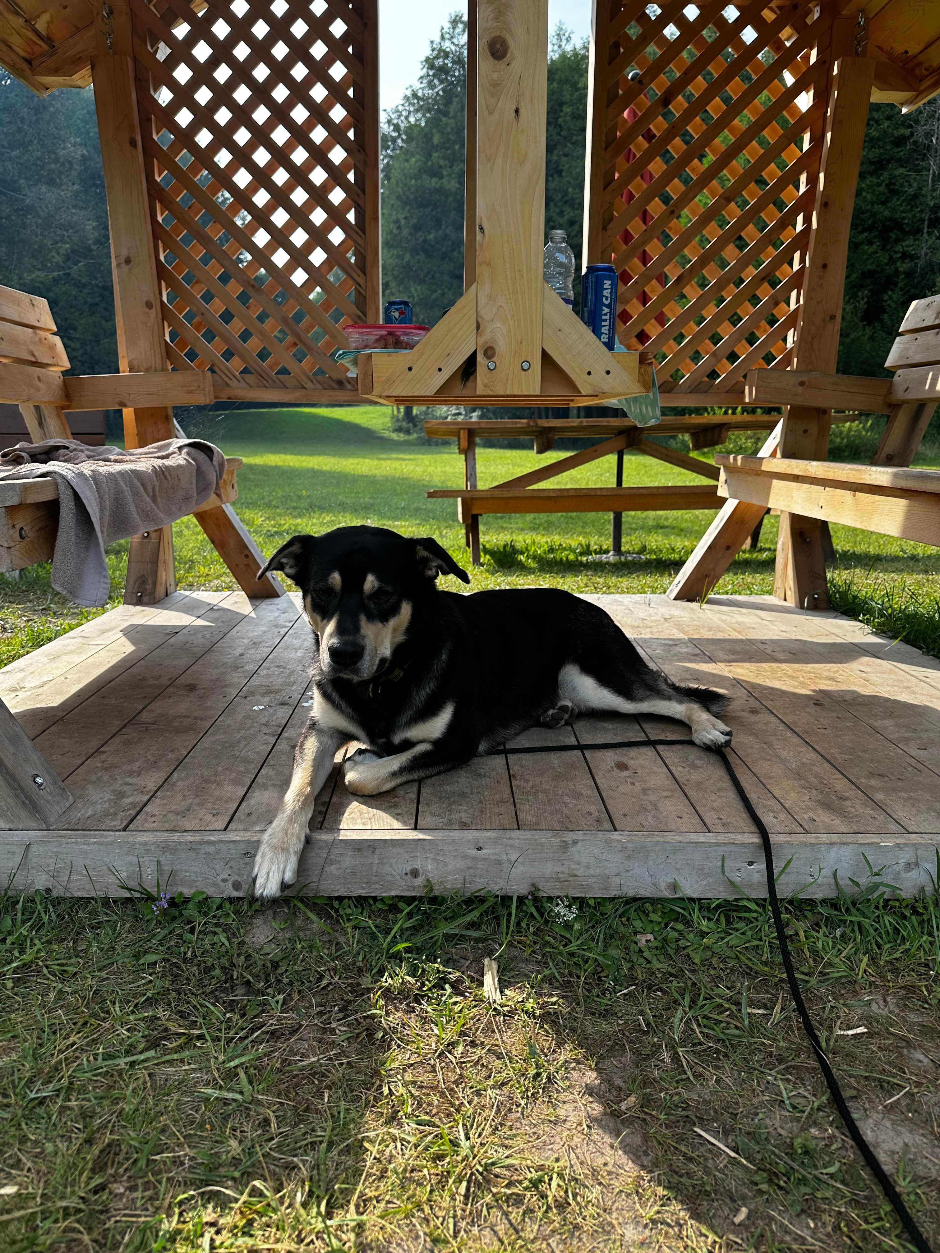 White Pines Cabin Retreat