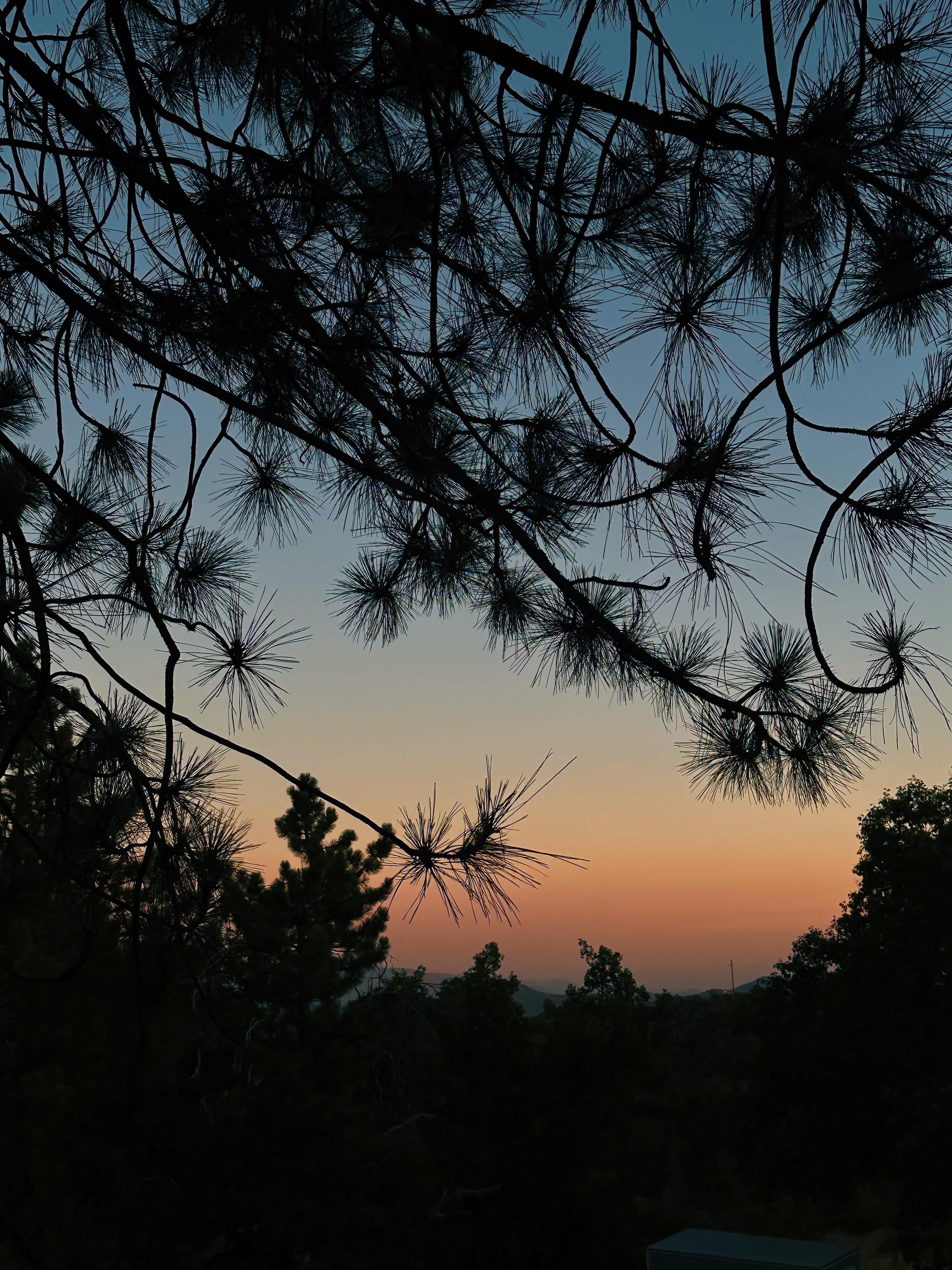 Mike And Di's Retreat- 15 min to NP