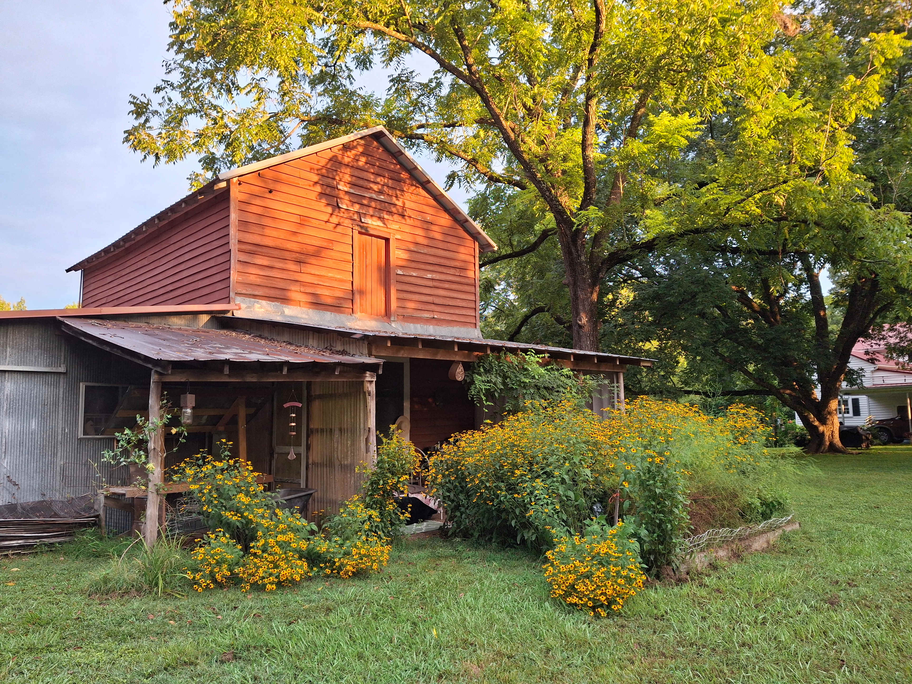 Ancient Spring Farm