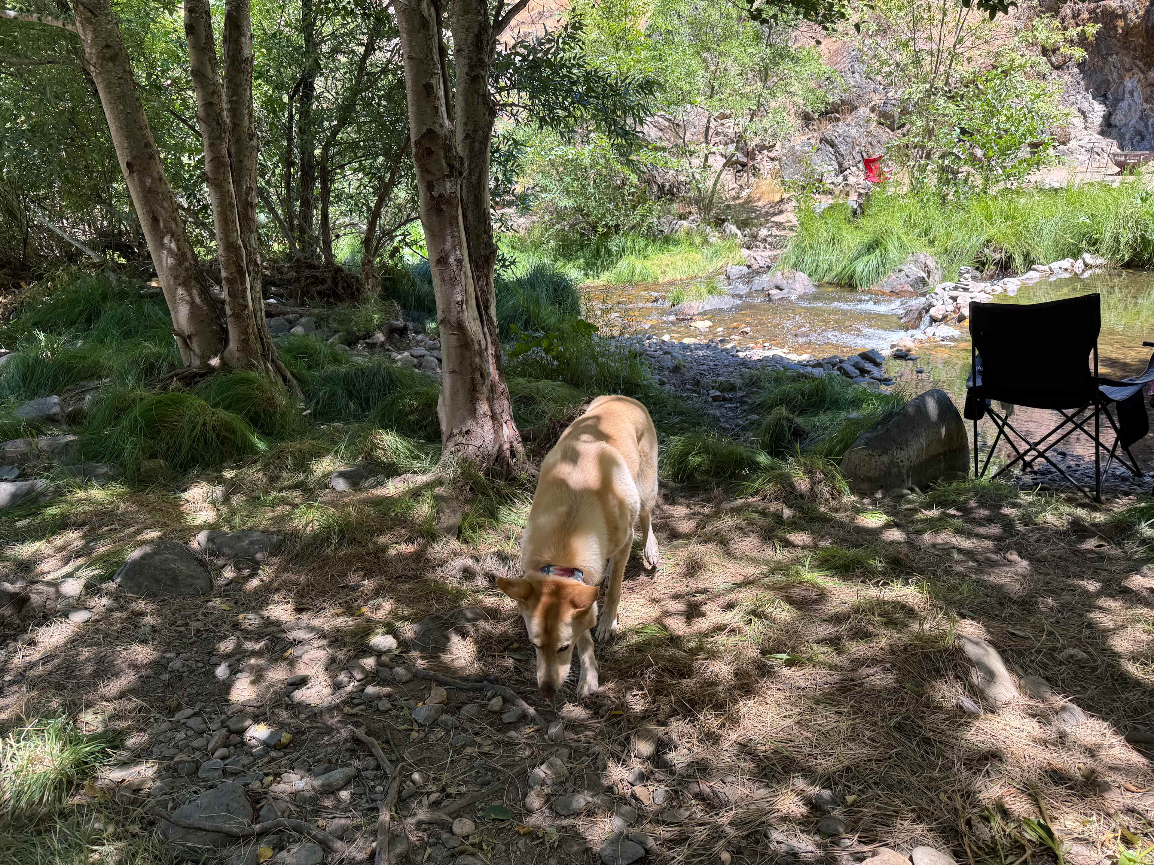 Strange Ranch - River and Gold