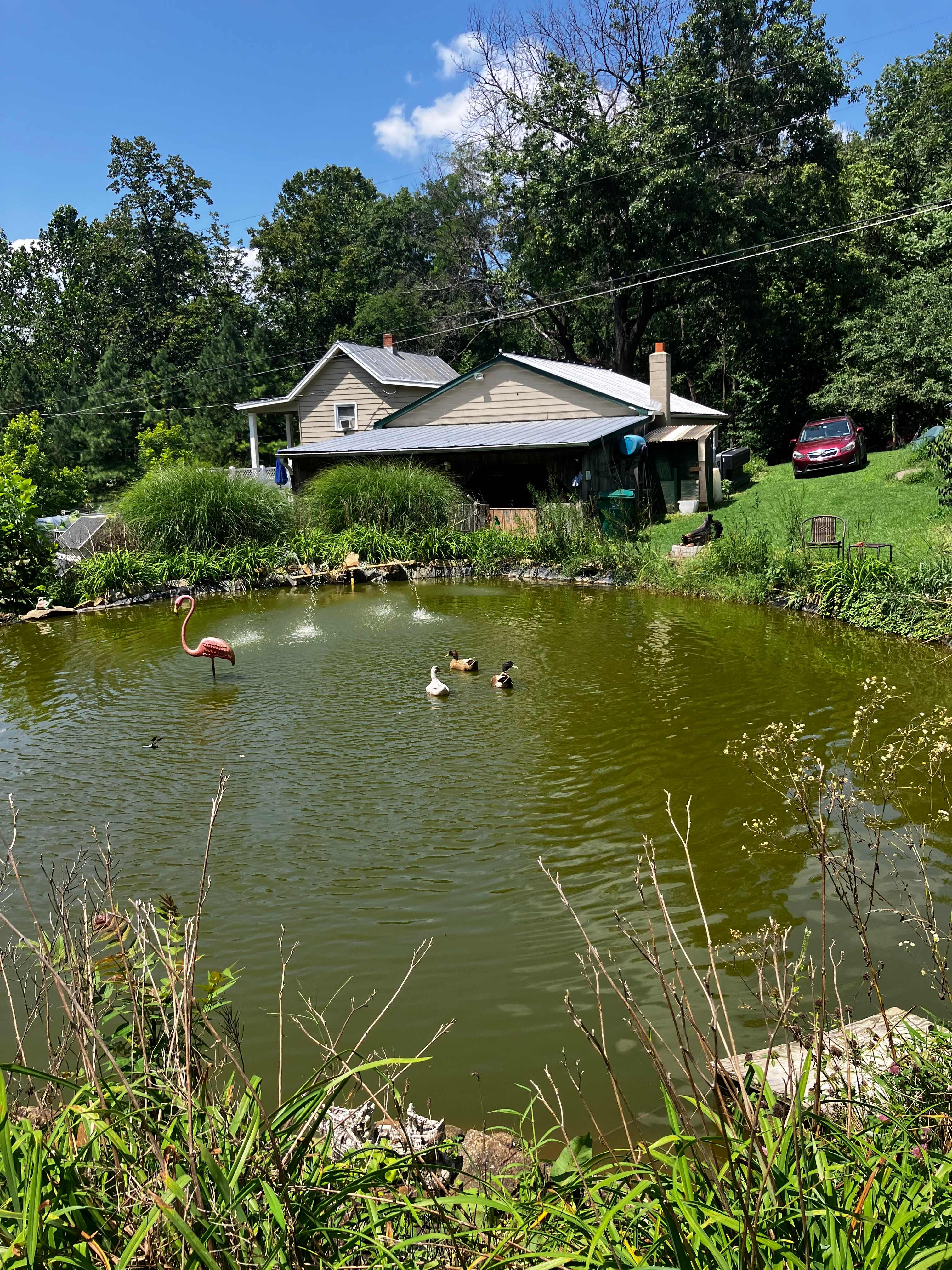 The water feature provides a relaxing sound and the ducks are silly