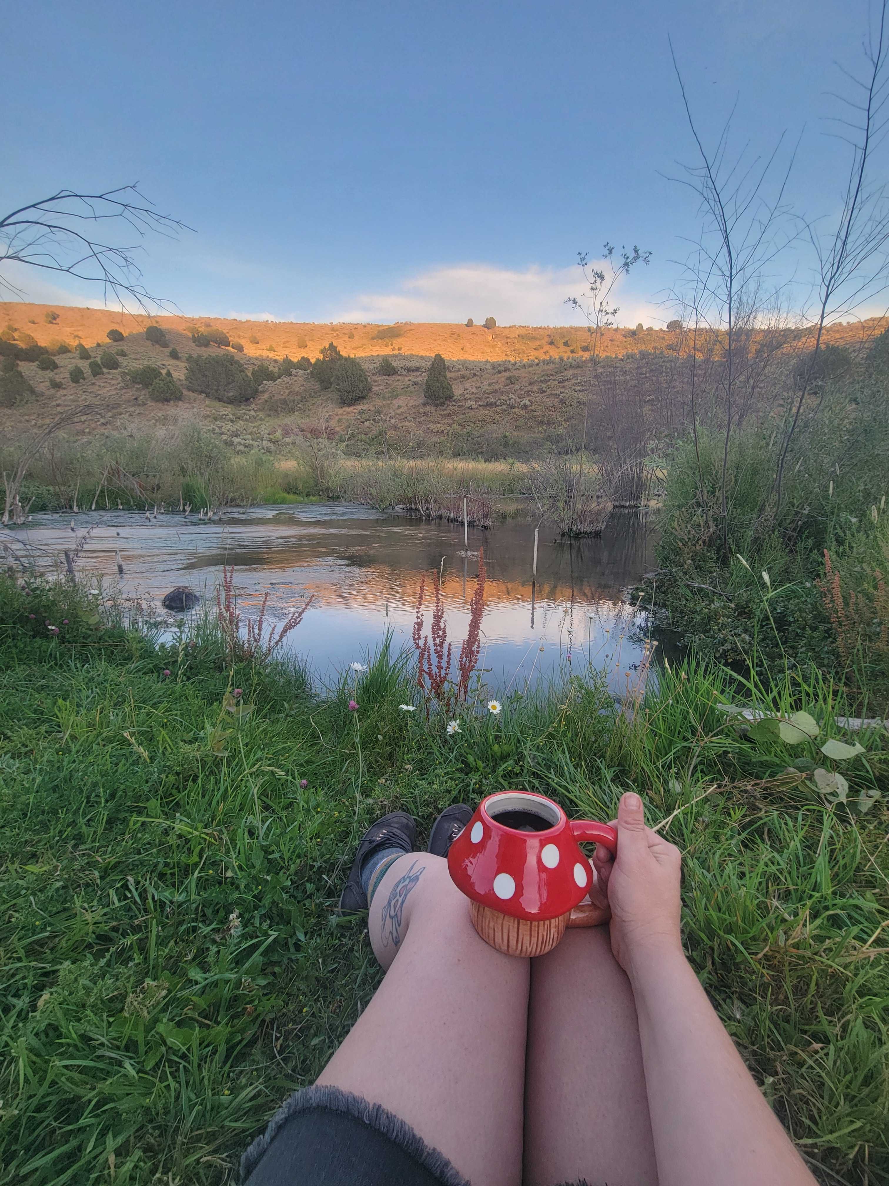 Wolverine Adventures LLC