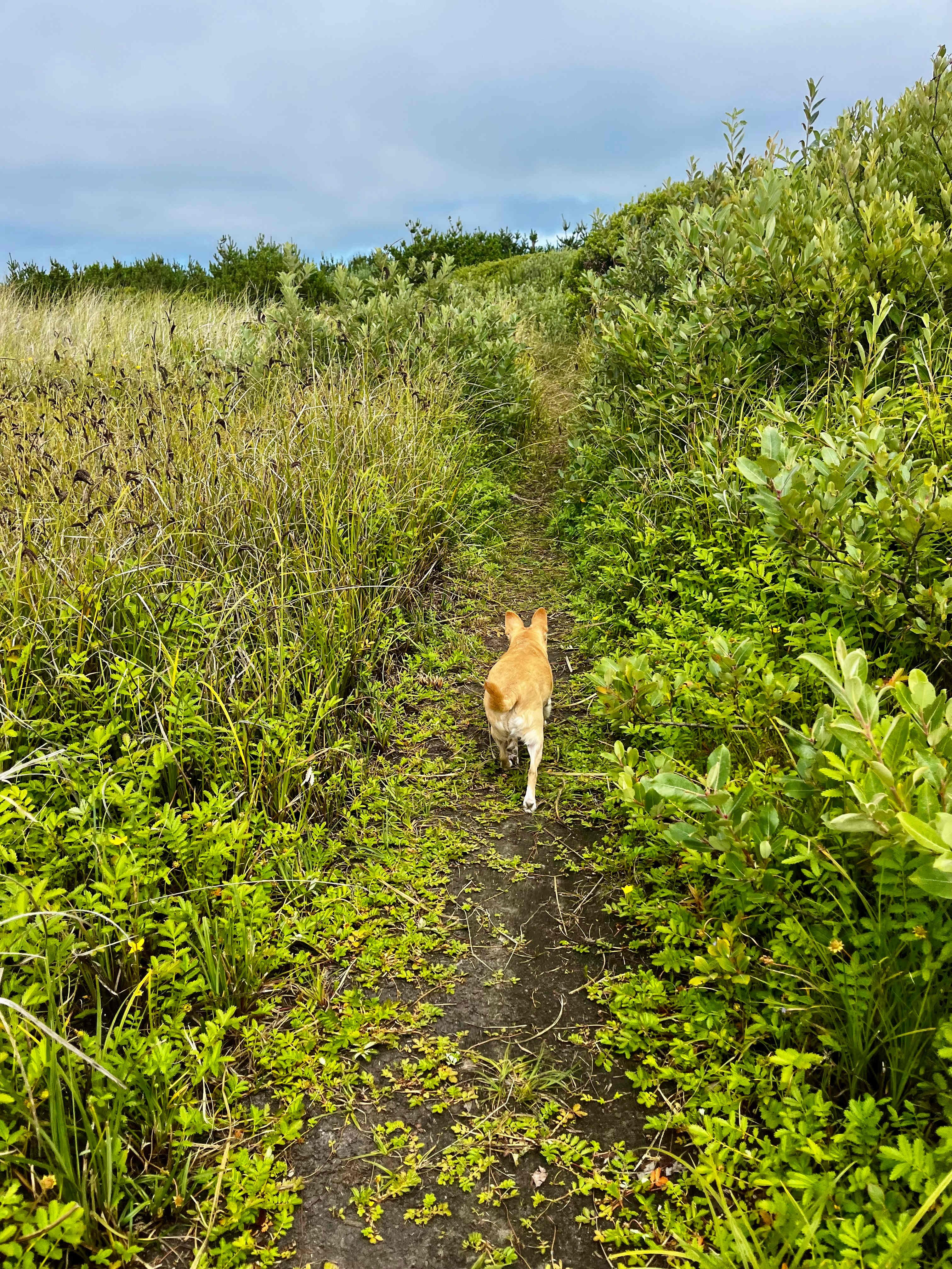 Coastal Family Hideaway