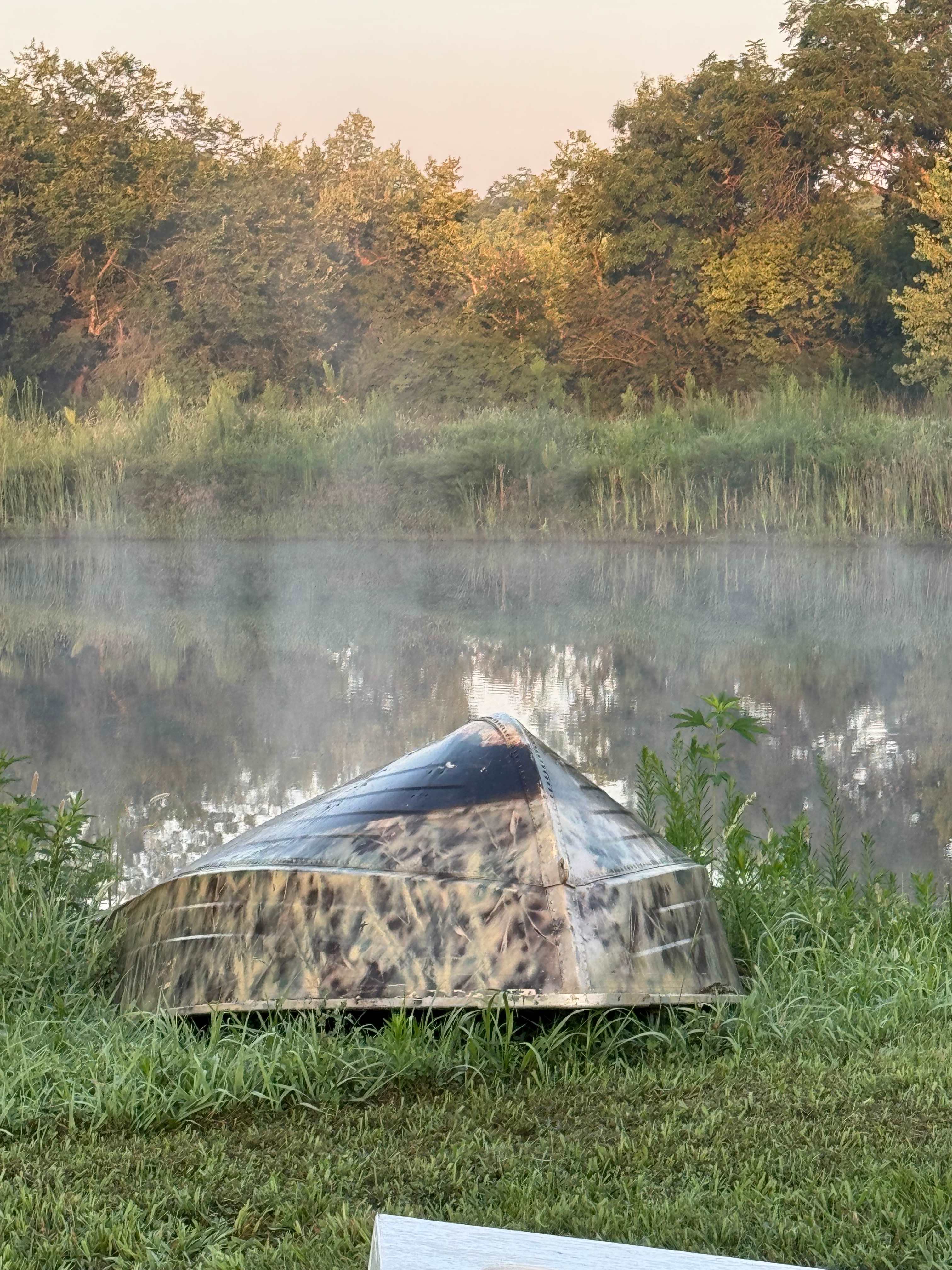 Pond early morning